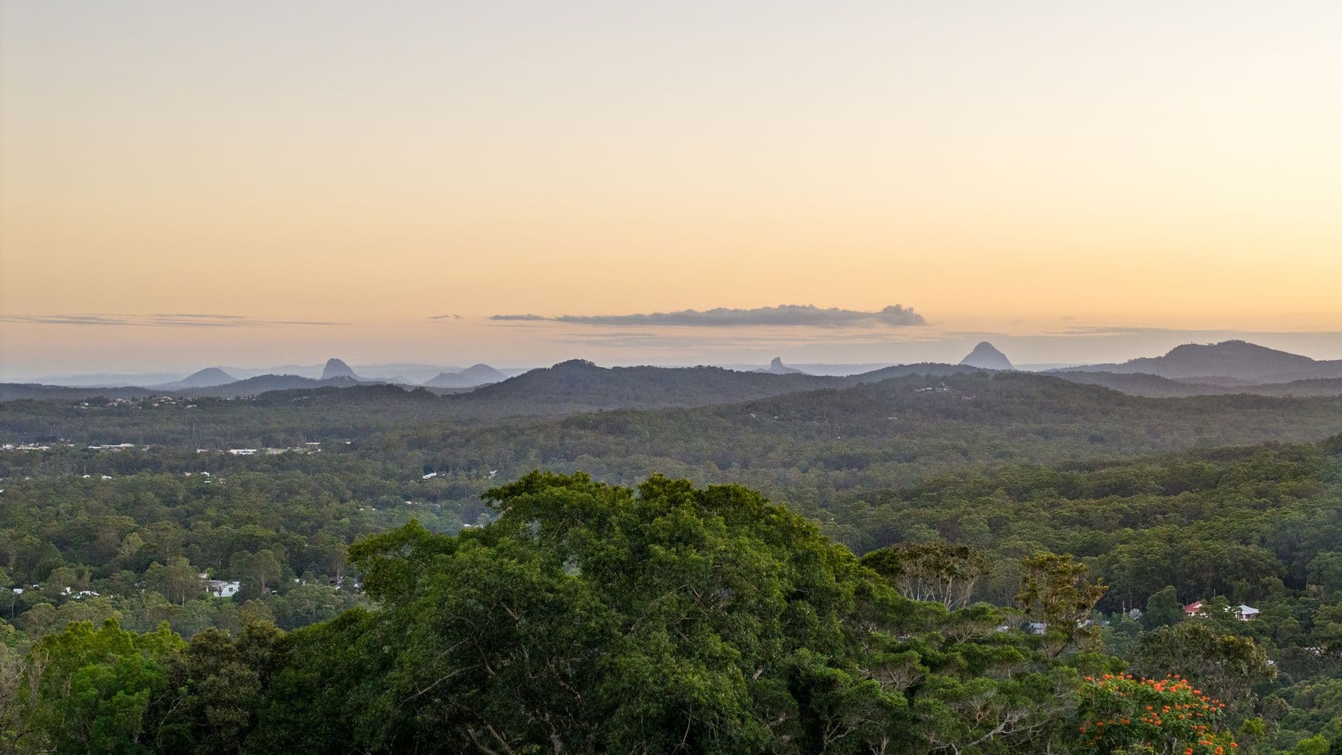 92 Duporth Ave, Maroochydore, QLD, 4558, Buderim - Thumbnail 5
