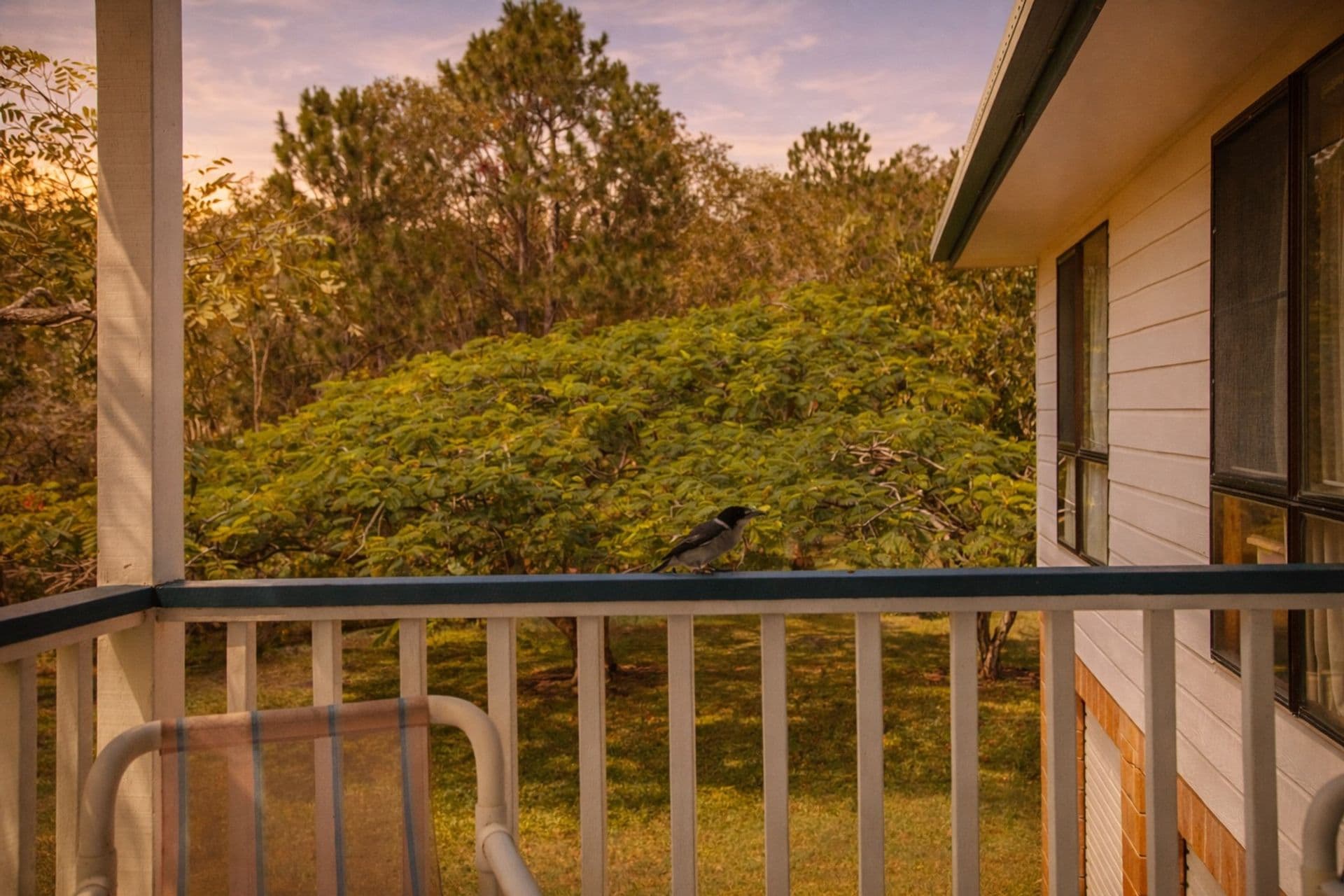142 Mudjimba Beach Road, Mudjimba, QLD, 4564, Mudjimba - Thumbnail 5