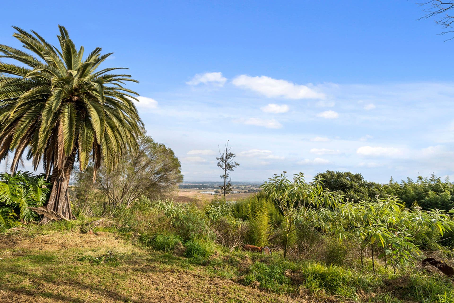 30 Mt Vernon Road, Mount Vernon, NSW, 2178, Mount Vernon - Thumbnail 4
