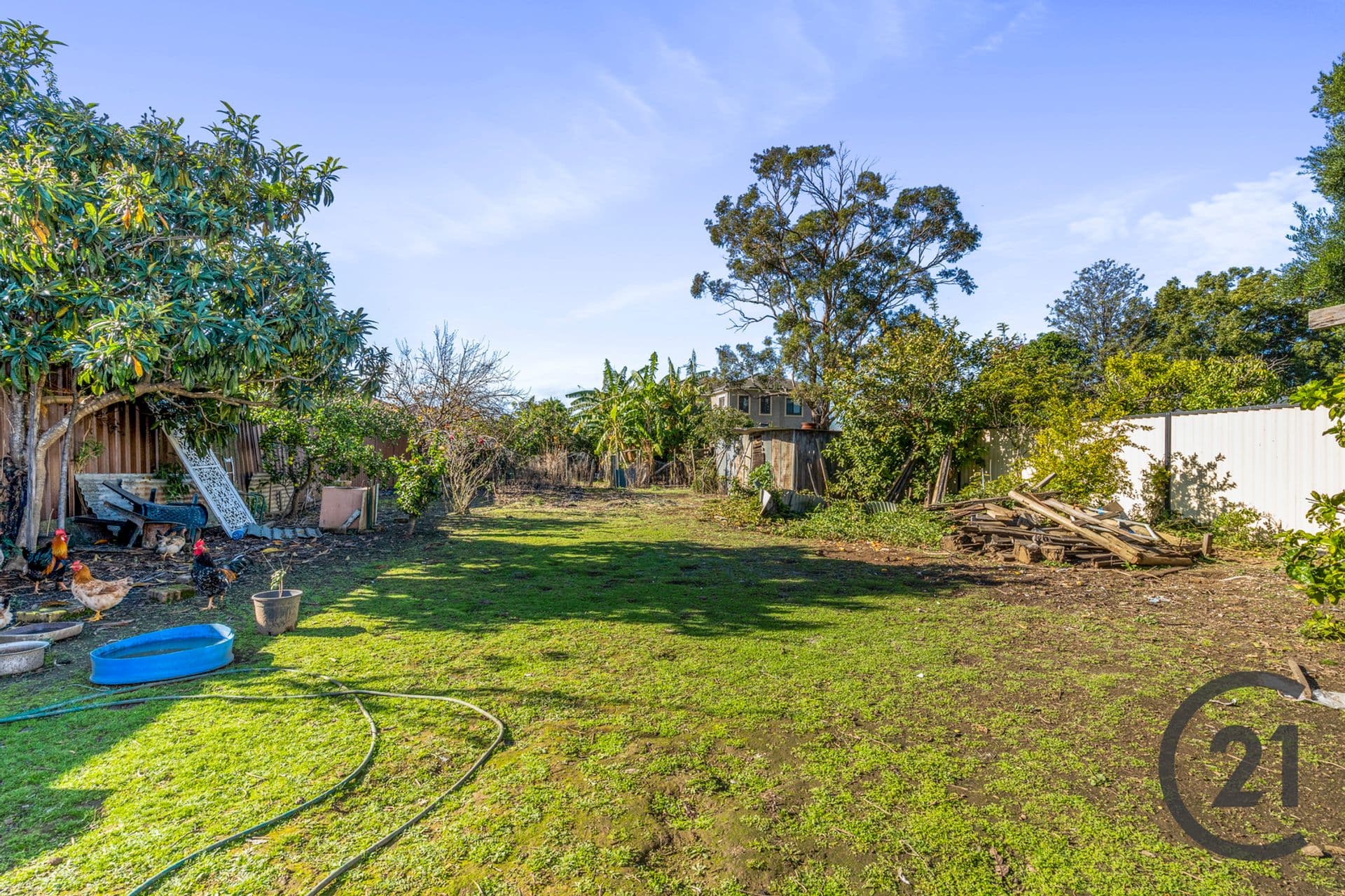 104 Pringle Avenue, Bankstown, NSW, 2200, Bankstown - Thumbnail 4