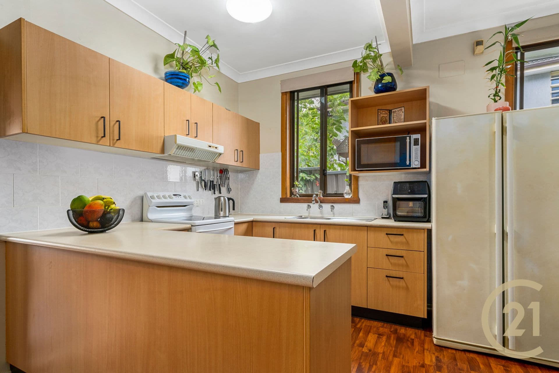 133 Townview Road, Mount Pritchard, NSW, 2170, Mount Pritchard - Thumbnail 4