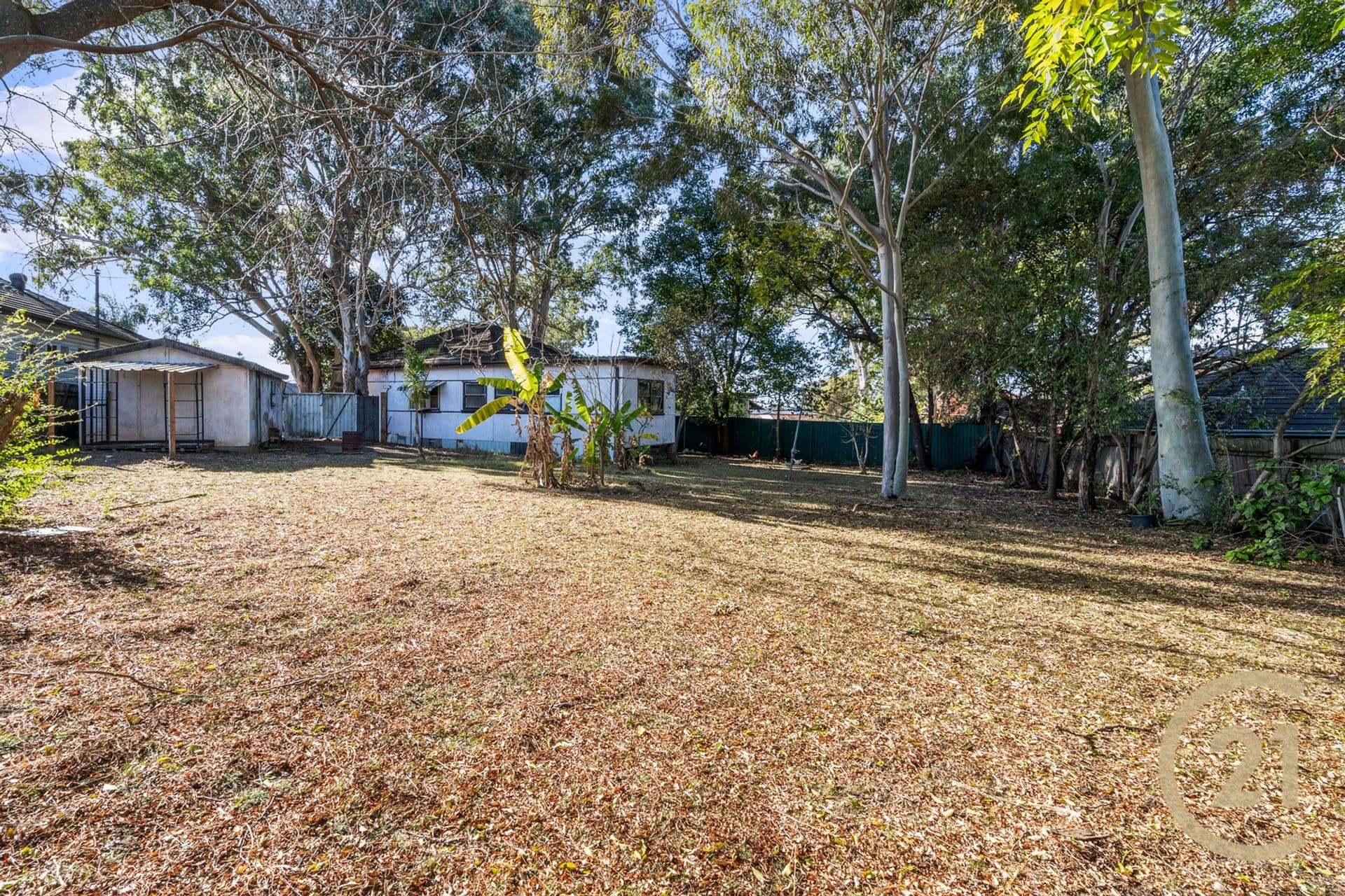 23 Phillip Avenue, Cabramatta, NSW, 2166, Cabramatta - Thumbnail 8
