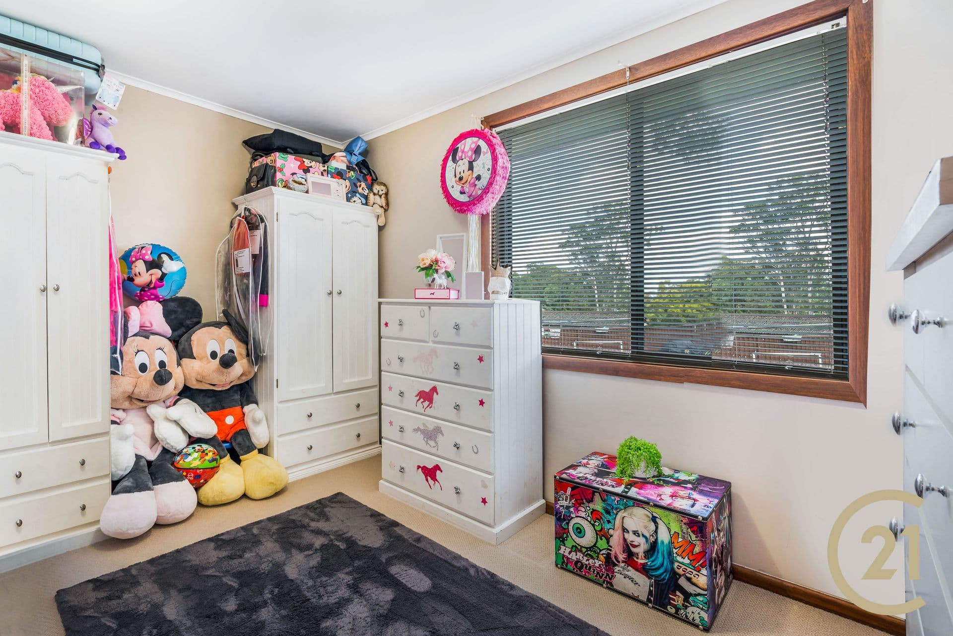 8 Pylara Place, Busby, NSW, 2168, Busby - Thumbnail 7
