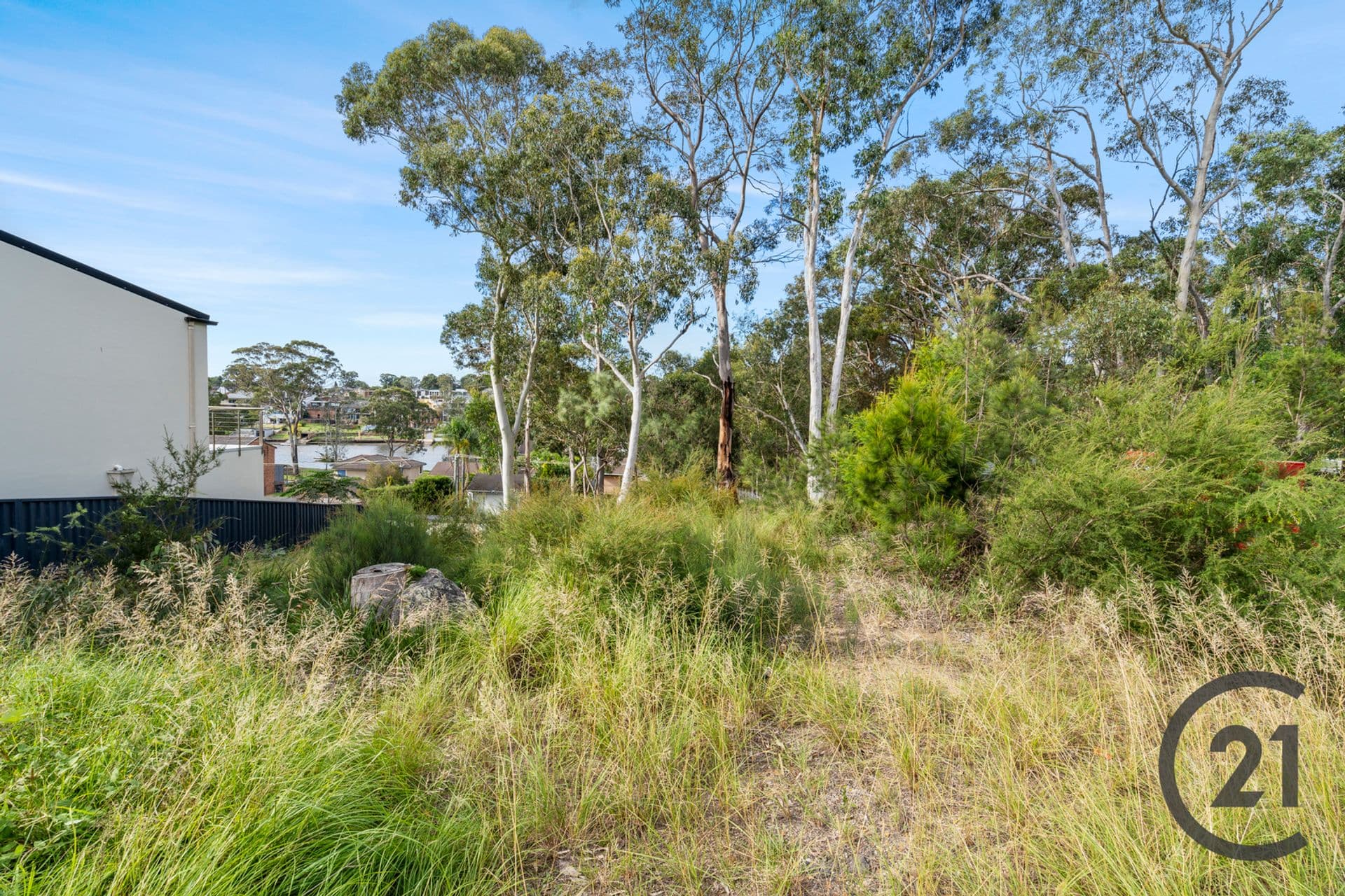 65 Riverview Road, Pleasure Point, NSW, 2172, Pleasure Point - Thumbnail 5