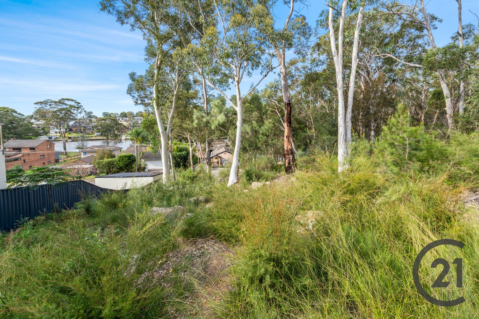 65 Riverview Road, Pleasure Point, NSW, 2172, Pleasure Point - Thumbnail 6