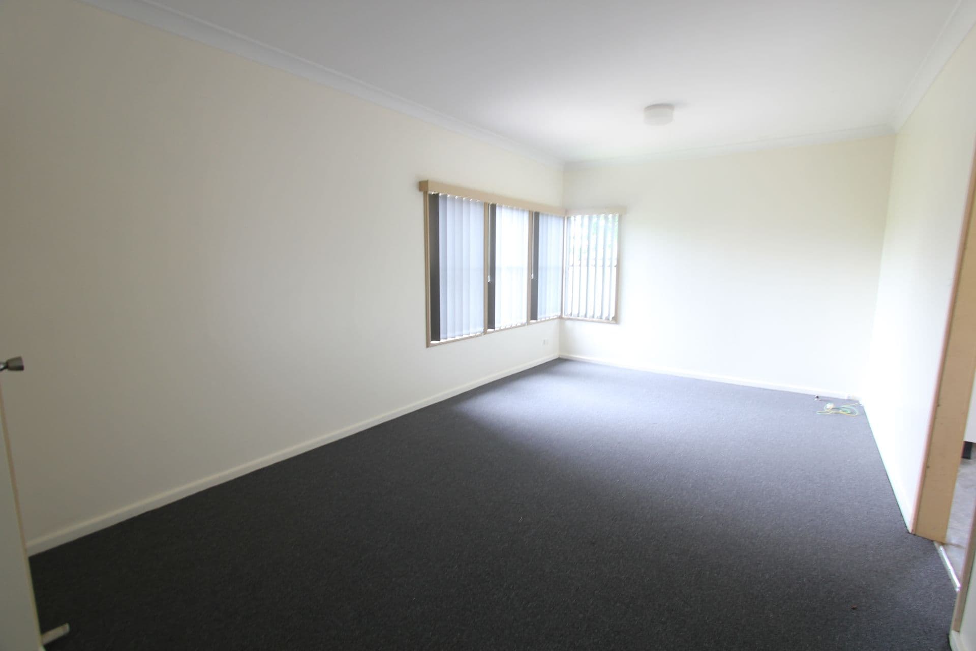 28 Bridges Avenue, Wattle Grove, NSW, 2173, Wattle Grove - Thumbnail 4