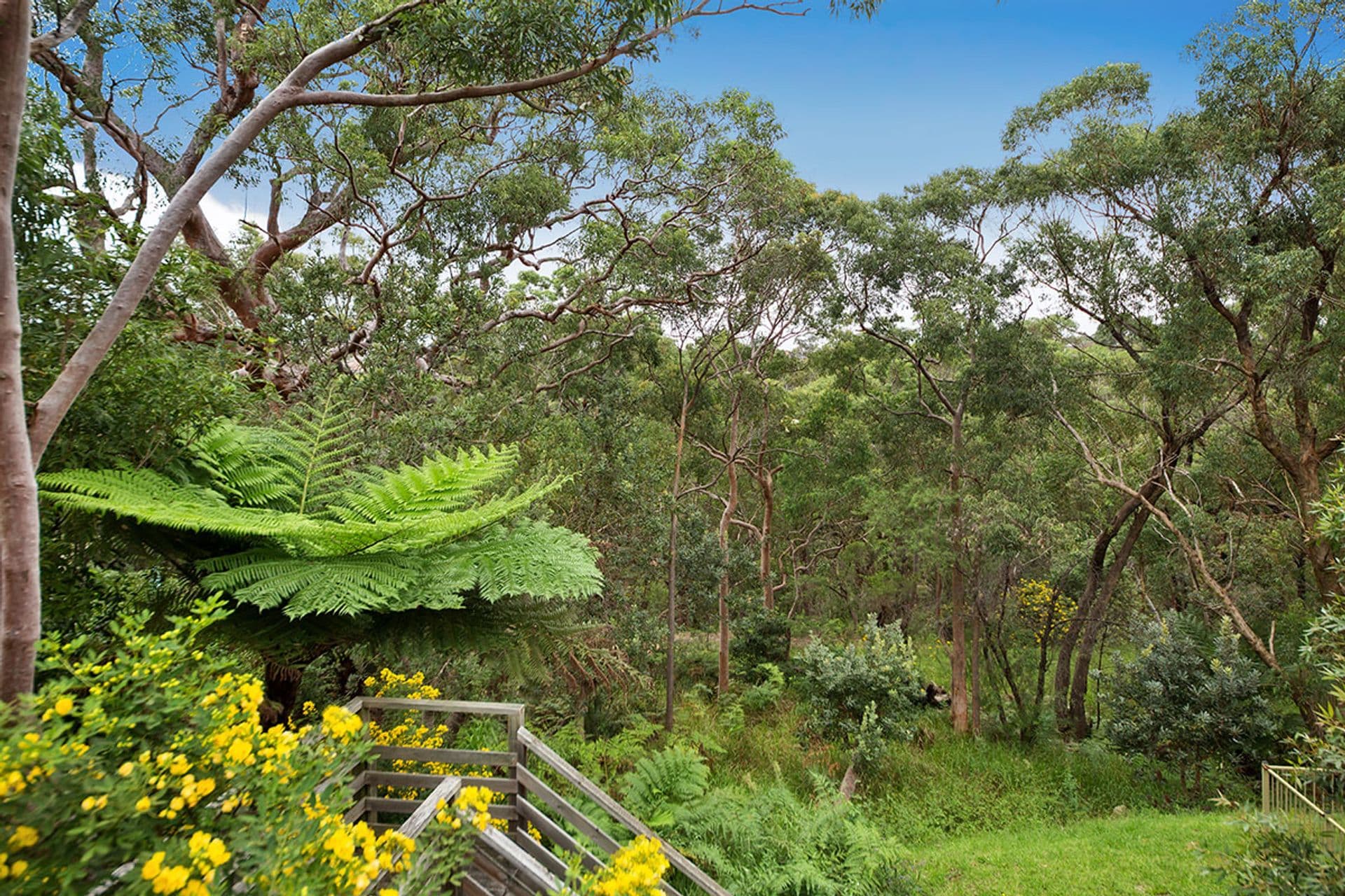 44 Jervis Drive, Illawong, NSW, 2234, Illawong - Thumbnail 5