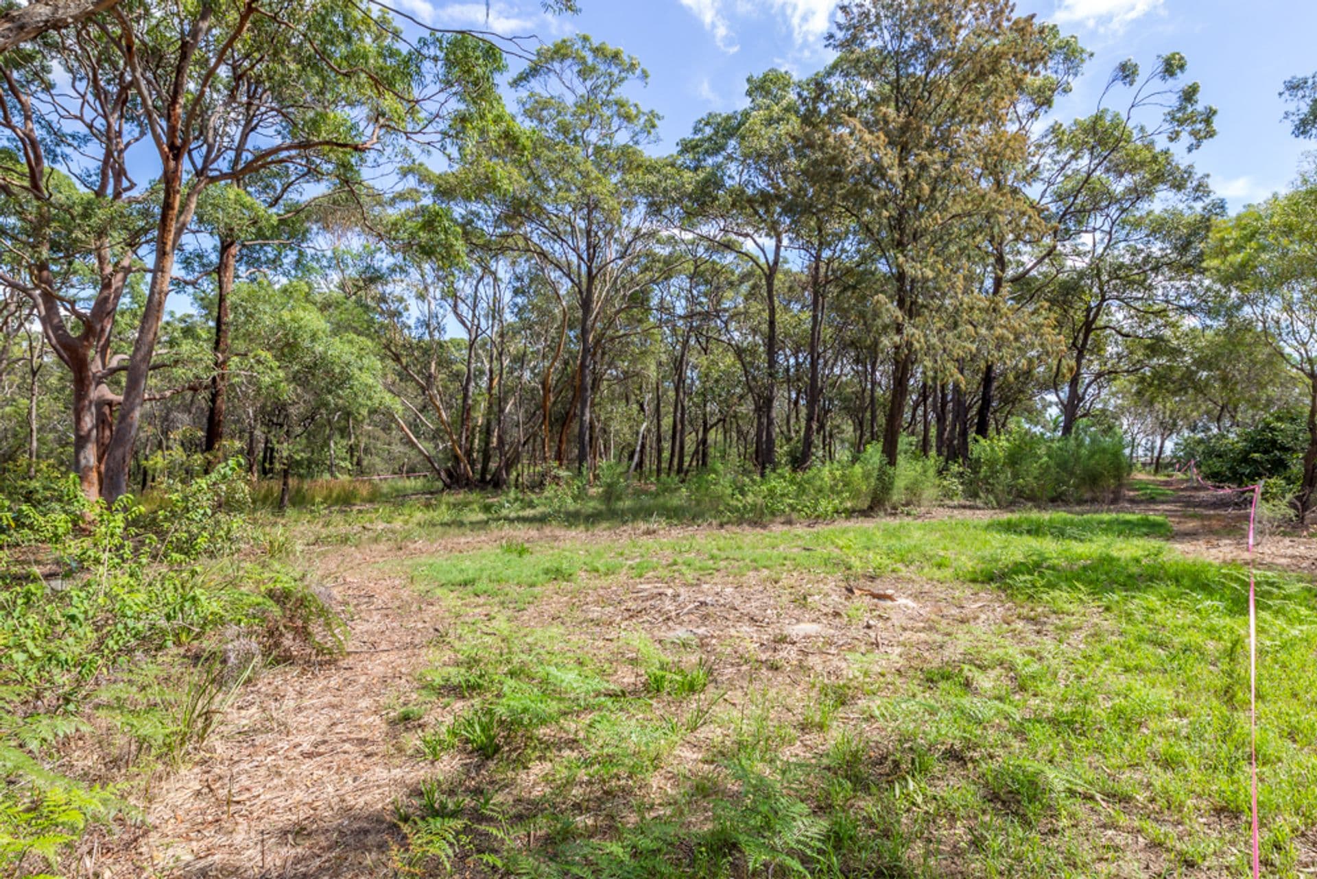 619-623 Old Illawarra Road, Menai, NSW, 2234, Menai - Thumbnail 2