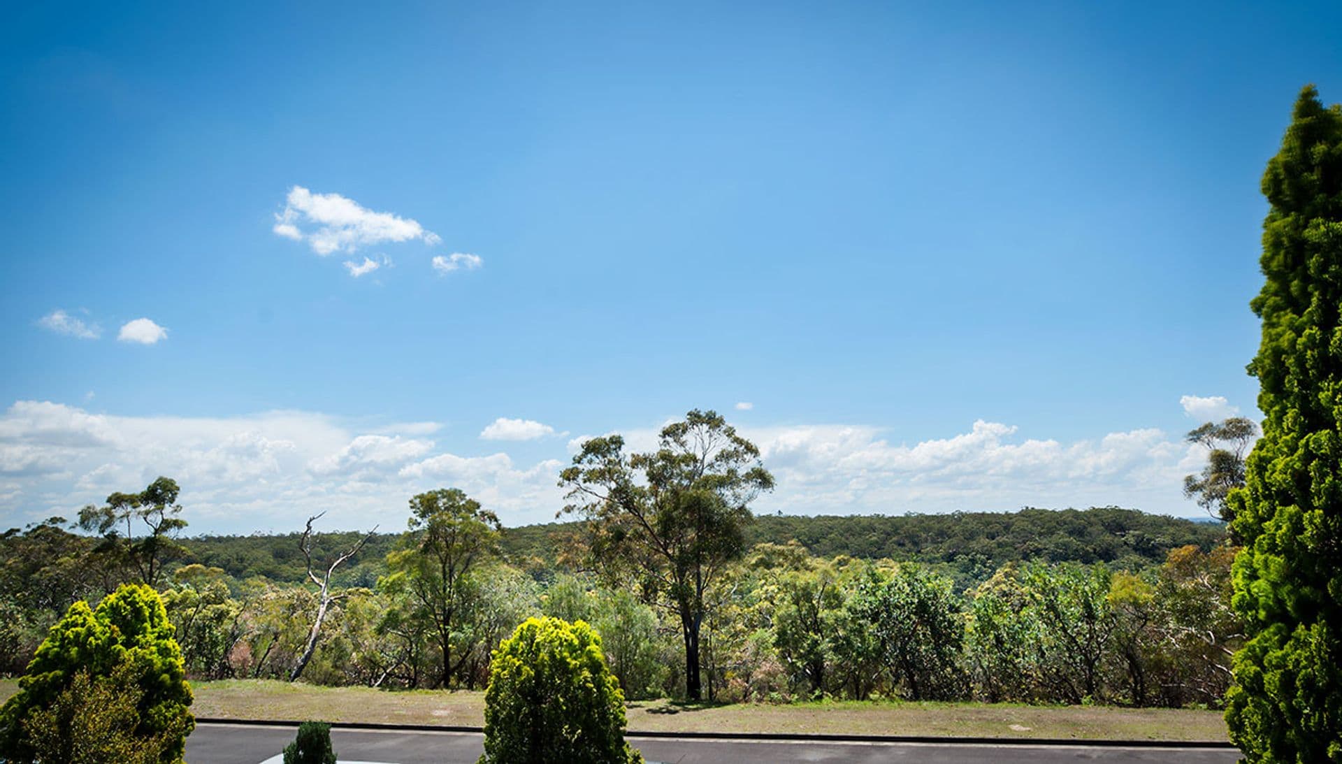 55 Ferrier Drive, Menai, NSW, 2234, Menai - Thumbnail 2