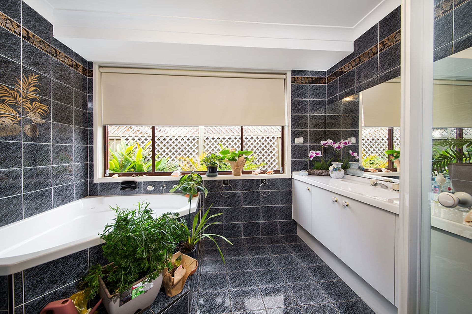93 David Road, Barden Ridge, NSW, 2234, Barden Ridge - Thumbnail 3