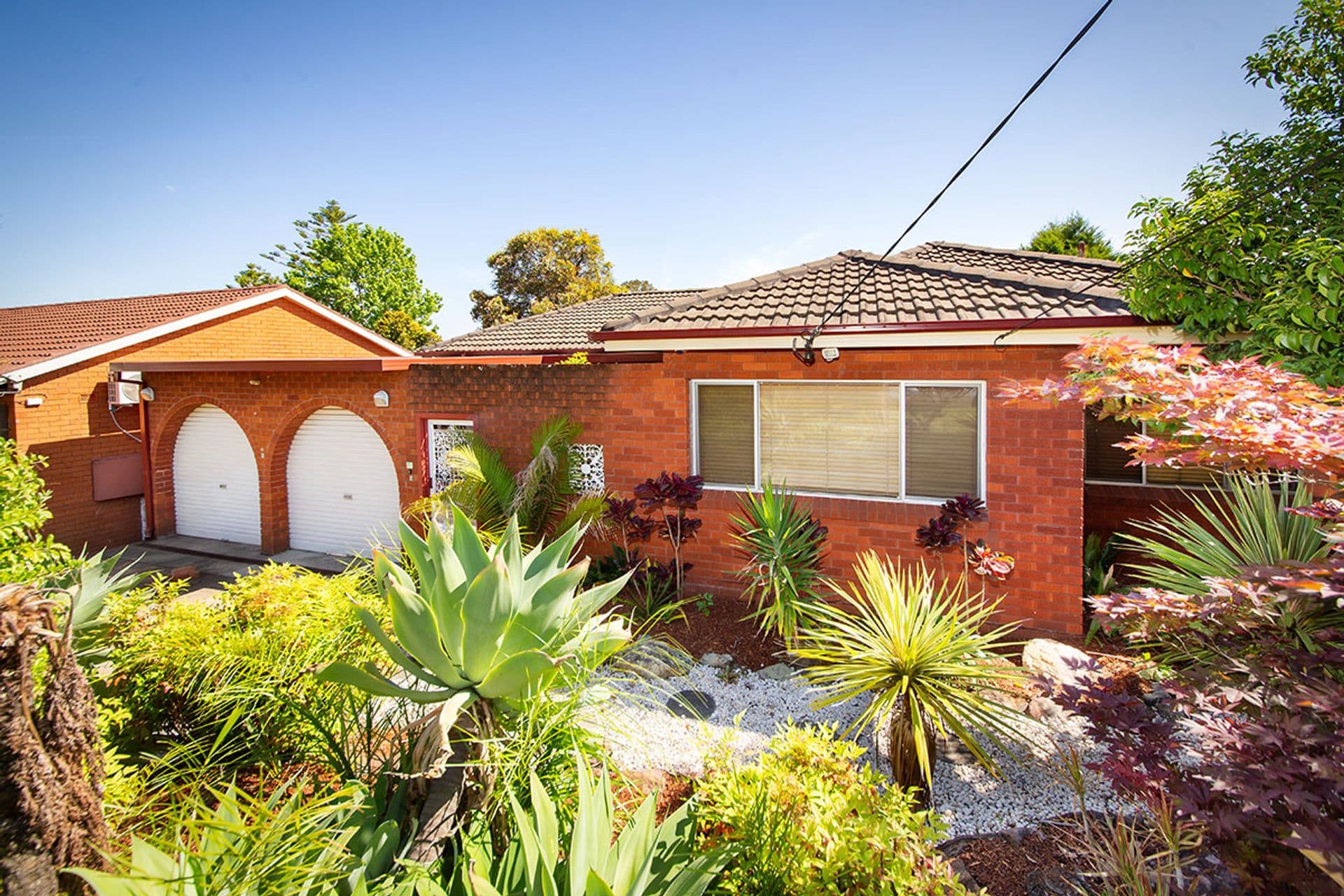 6 Susan Avenue, Padstow Heights, NSW, 2211, Padstow Heights - Image 1