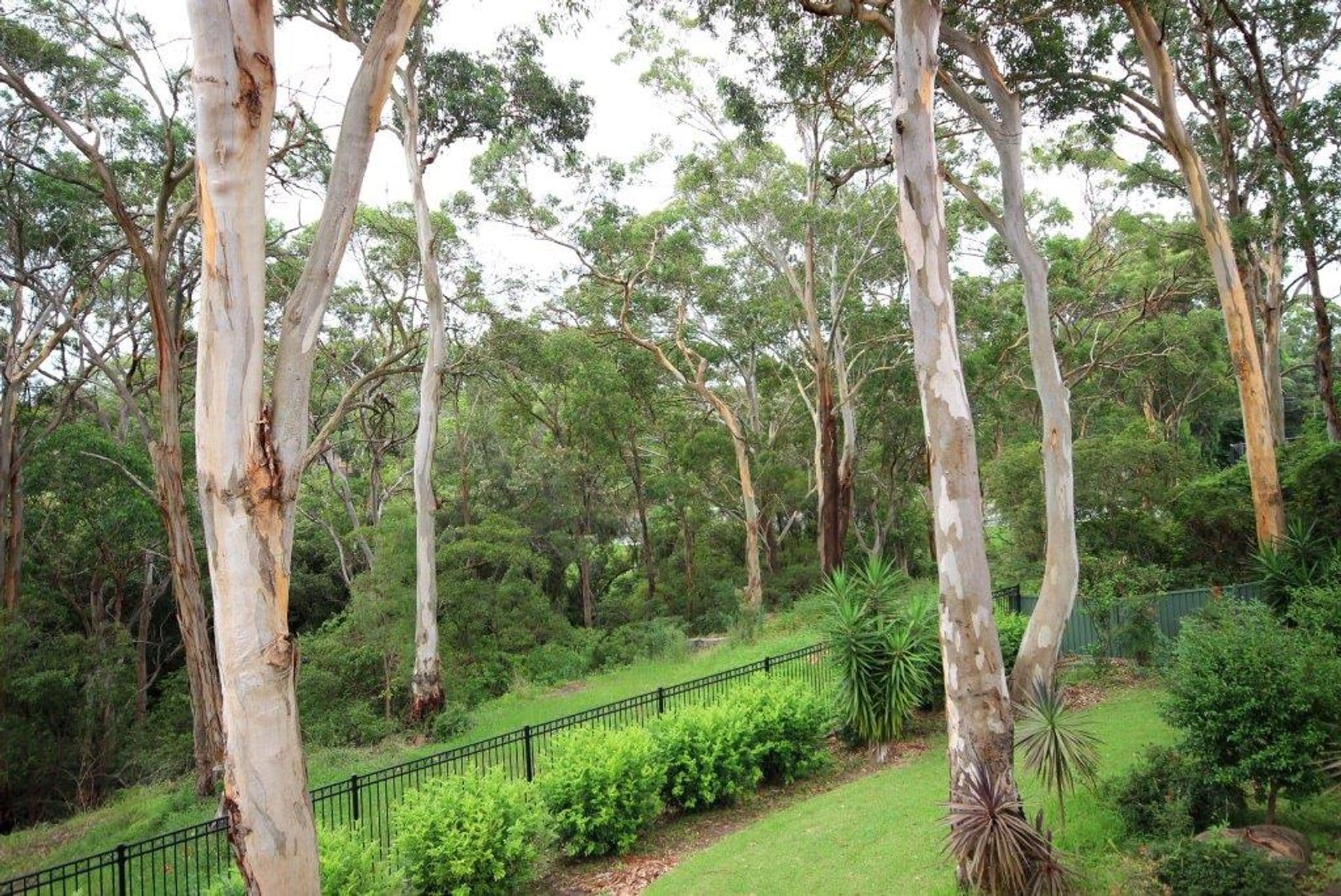 2/43-47 Clarke Street, Peakhurst, NSW, 2210, Peakhurst - Thumbnail 2