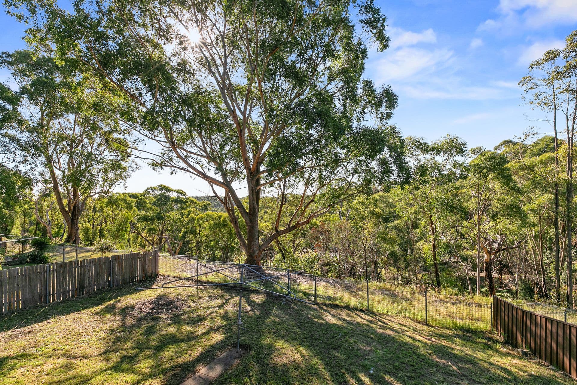 26 Davidson Road, Menai, NSW, 2234, Menai - Thumbnail 3