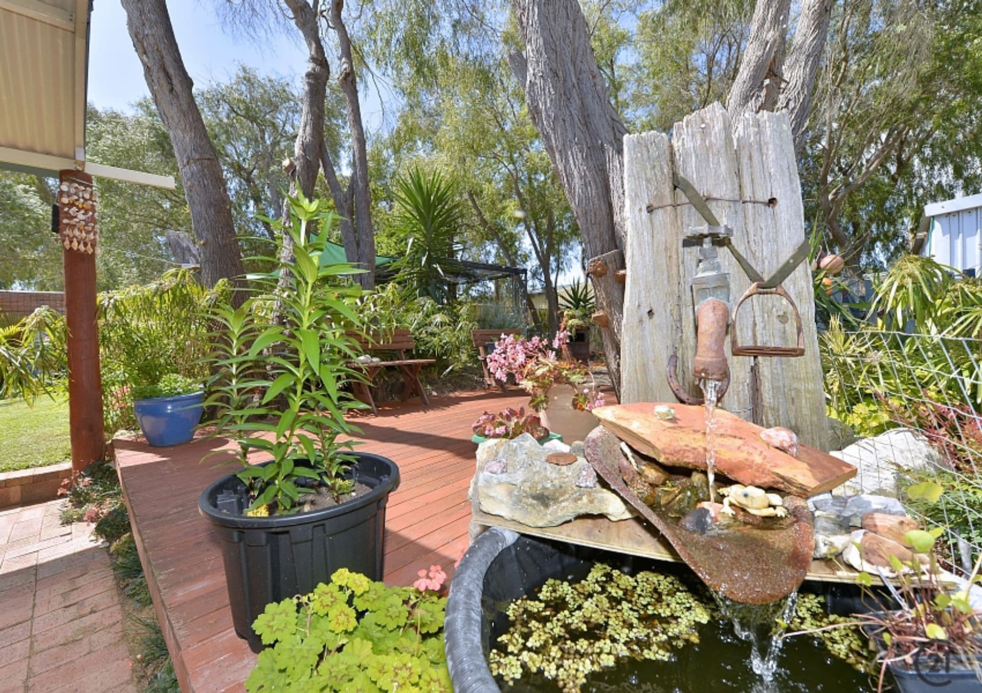 58 Park Ridge Drive, Bouvard, WA, 6211, Bouvard - Thumbnail 3