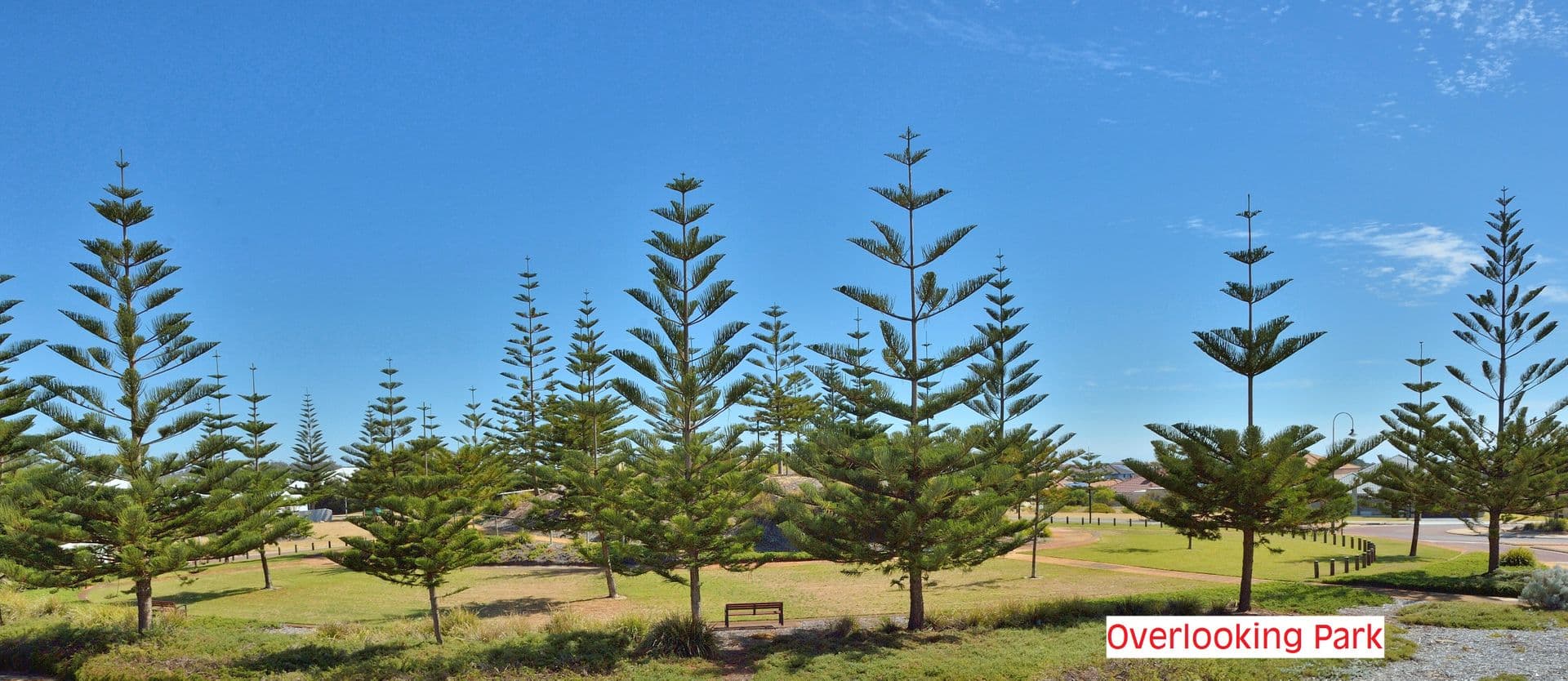 21 Frigate Way, Wannanup, WA, 6210, Wannanup - Thumbnail 5
