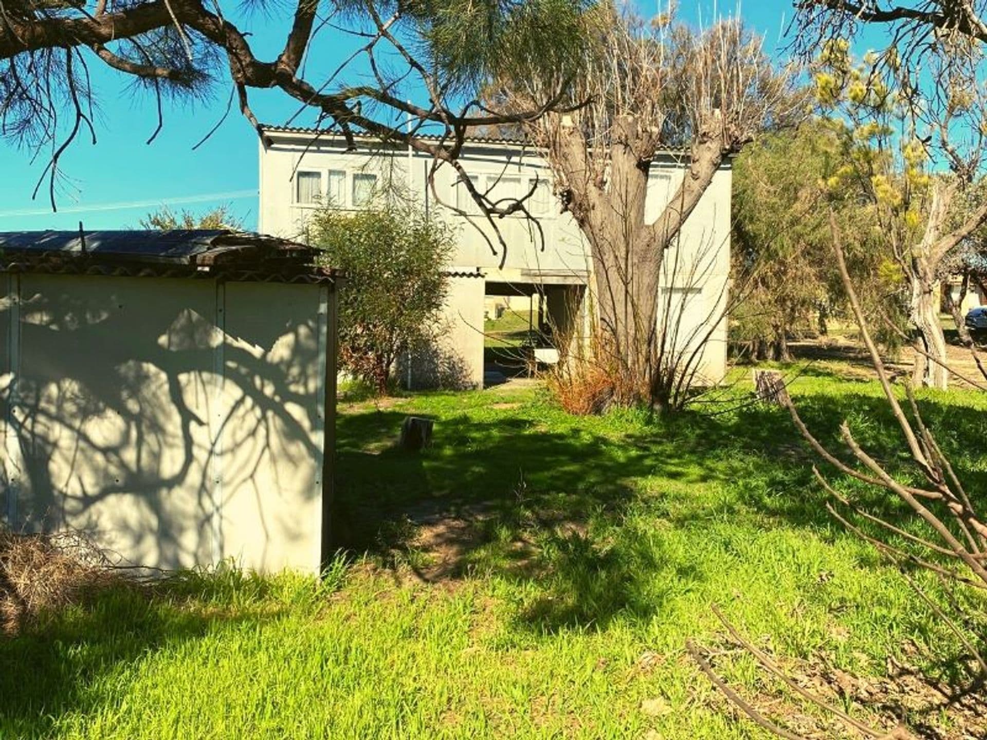 20 Maranel Street, Falcon, WA, 6210, Falcon - Thumbnail 4