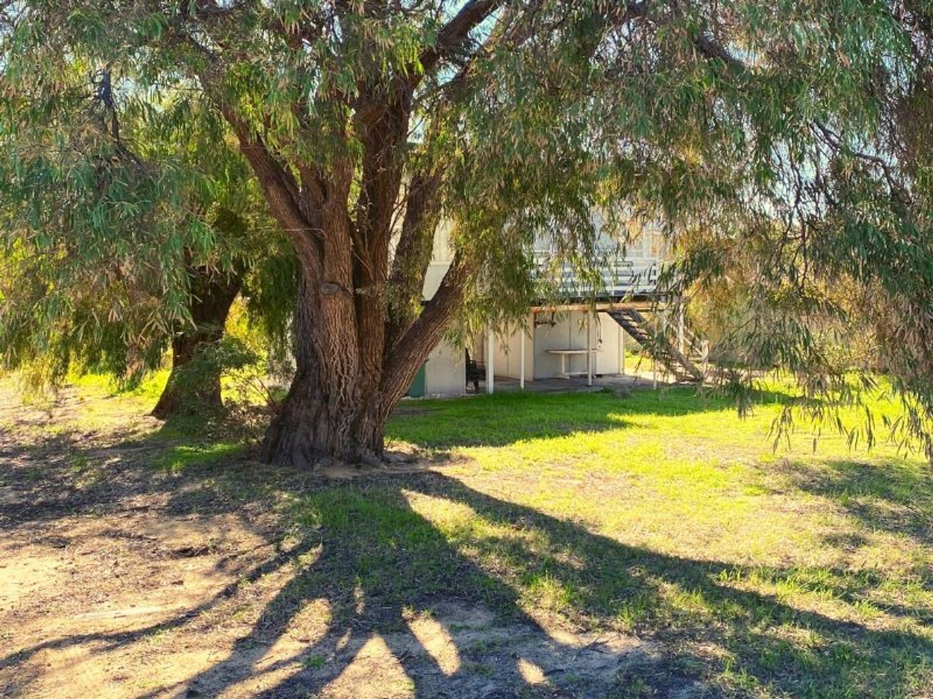 20 Maranel Street, Falcon, WA, 6210, Falcon - Thumbnail 5