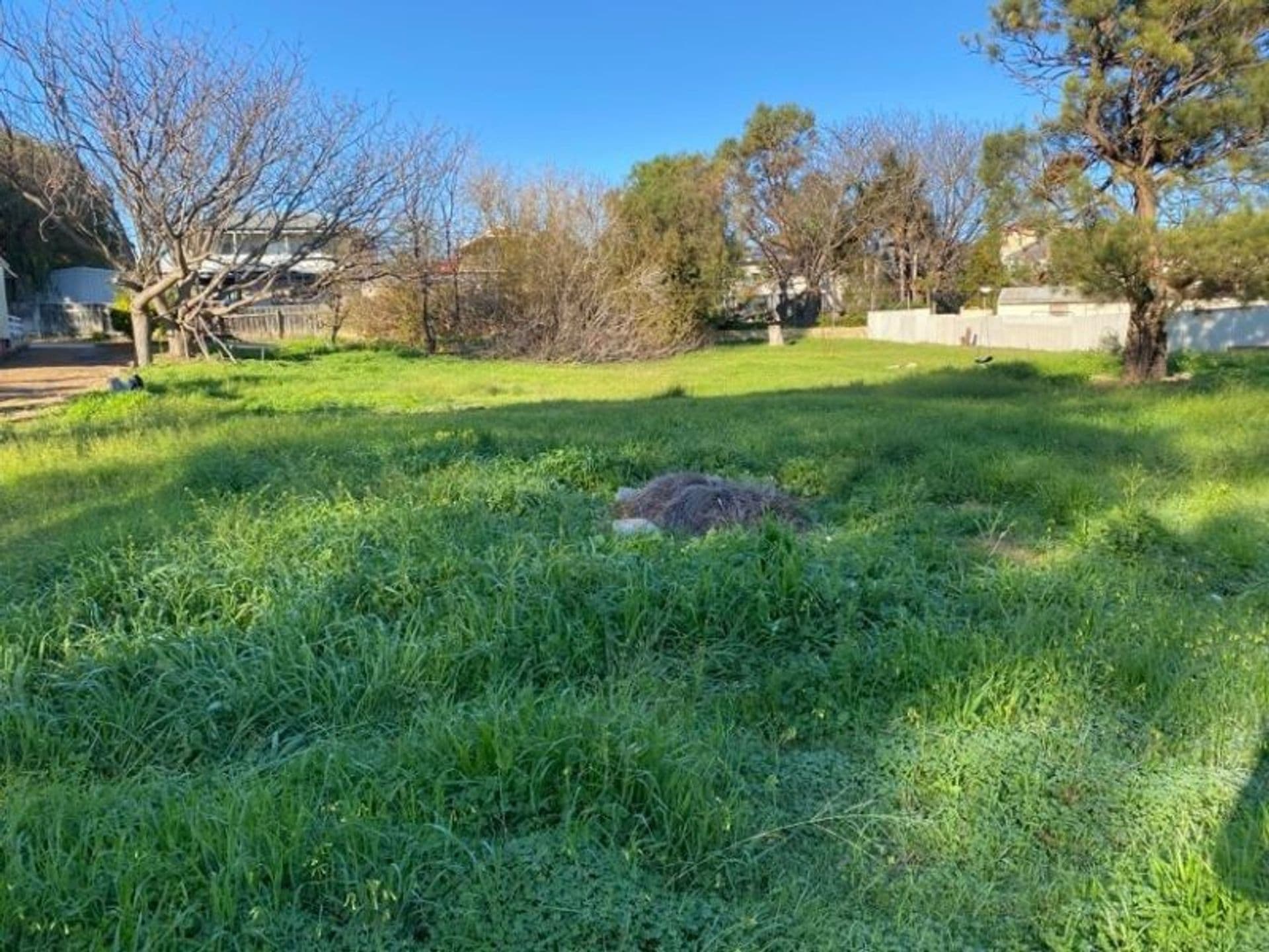 5 Corinna Street, Falcon, WA, 6210, Falcon - Thumbnail 2