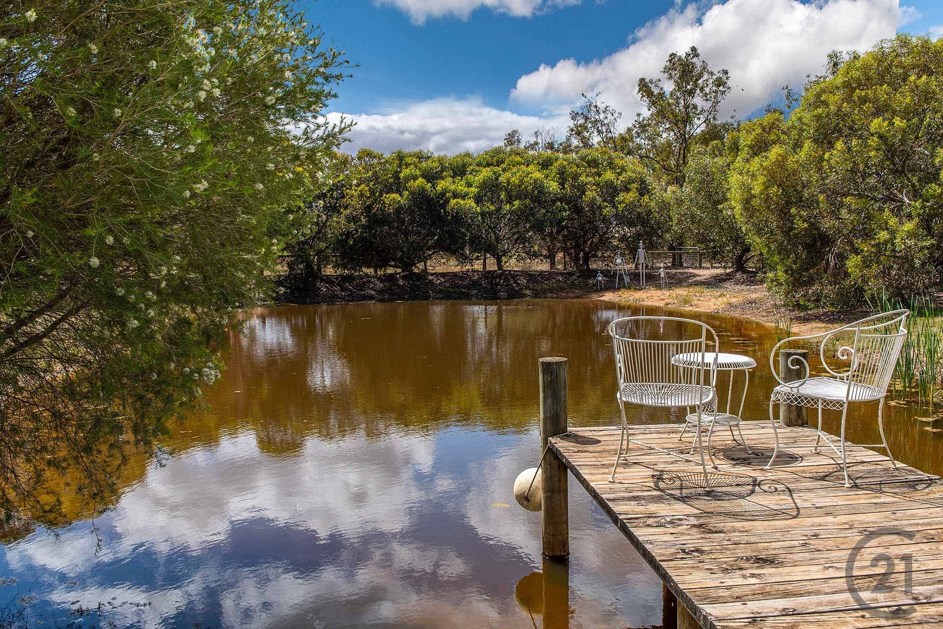 31 Paperbark Place, West Pinjarra, WA, 6208, West Pinjarra - Thumbnail 5