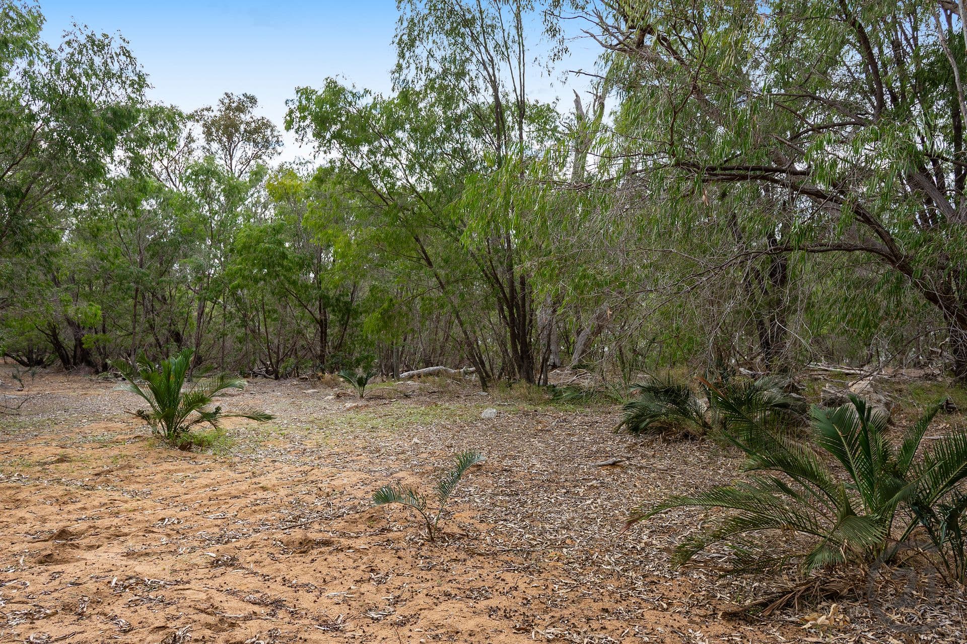 1016 Estuary Road, Bouvard, WA, 6211, Bouvard - Thumbnail 6