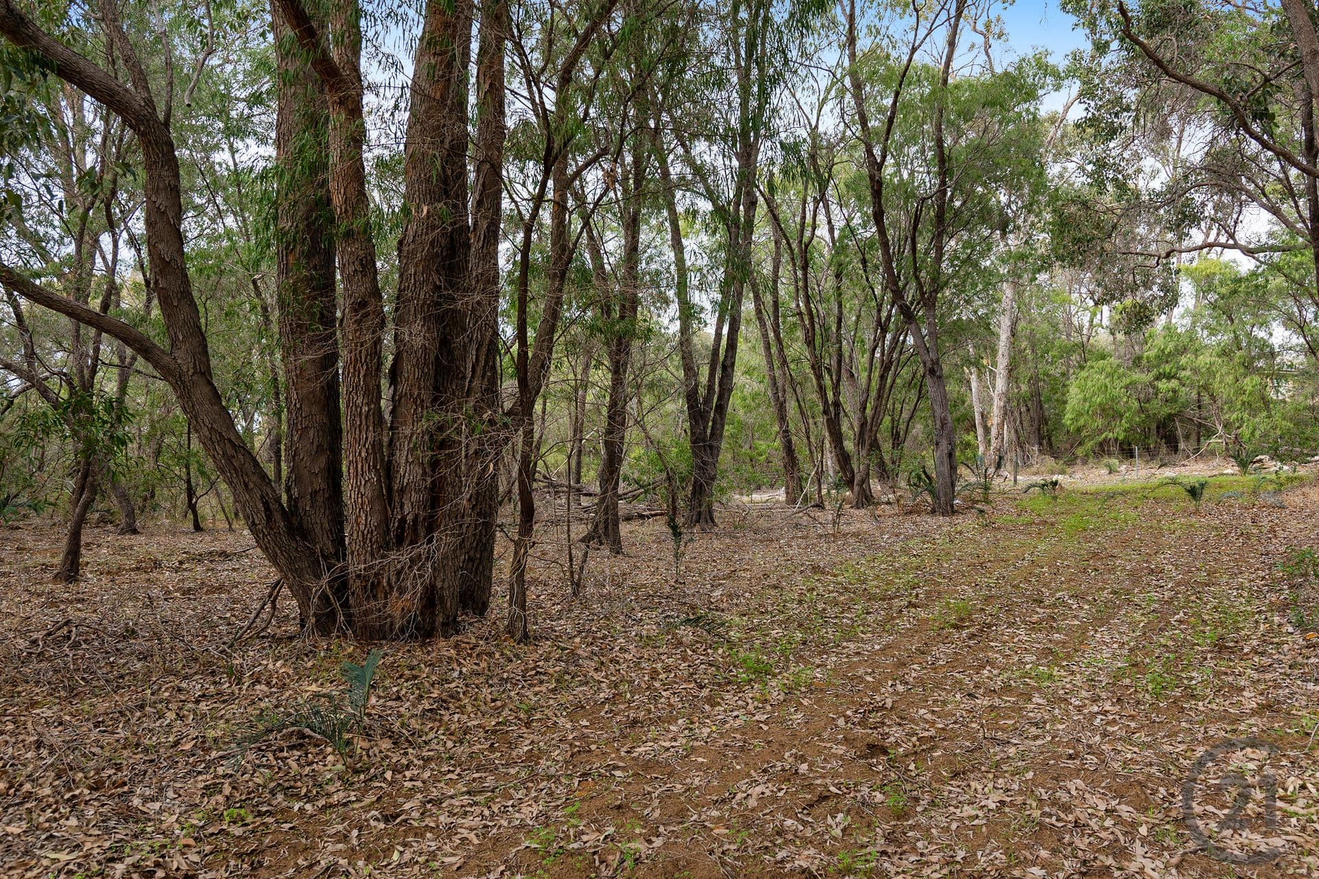 1016 Estuary Road, Bouvard, WA, 6211, Bouvard - Thumbnail 7
