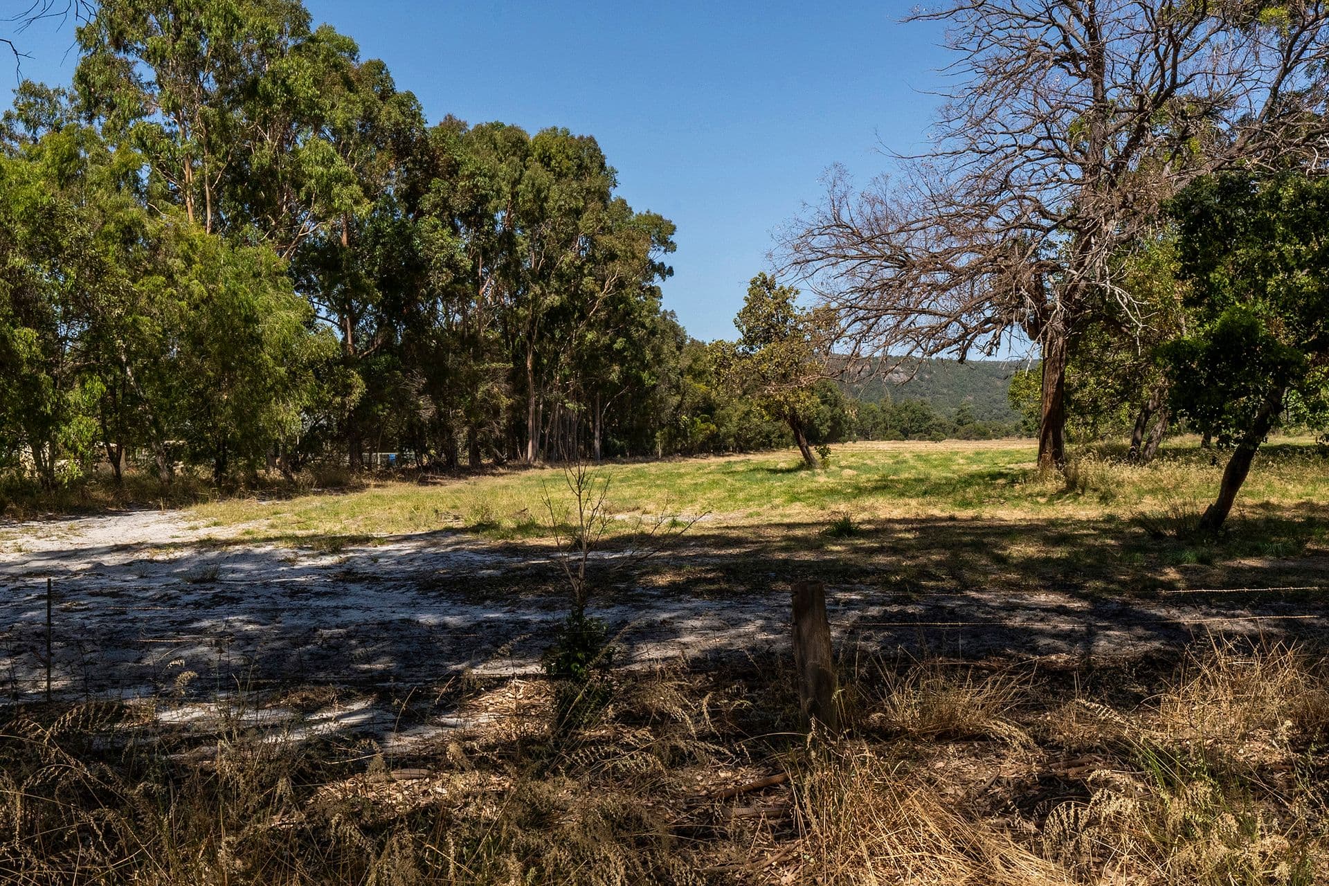 139 Hardey Road, Serpentine, WA, 6125, Serpentine - Thumbnail 3