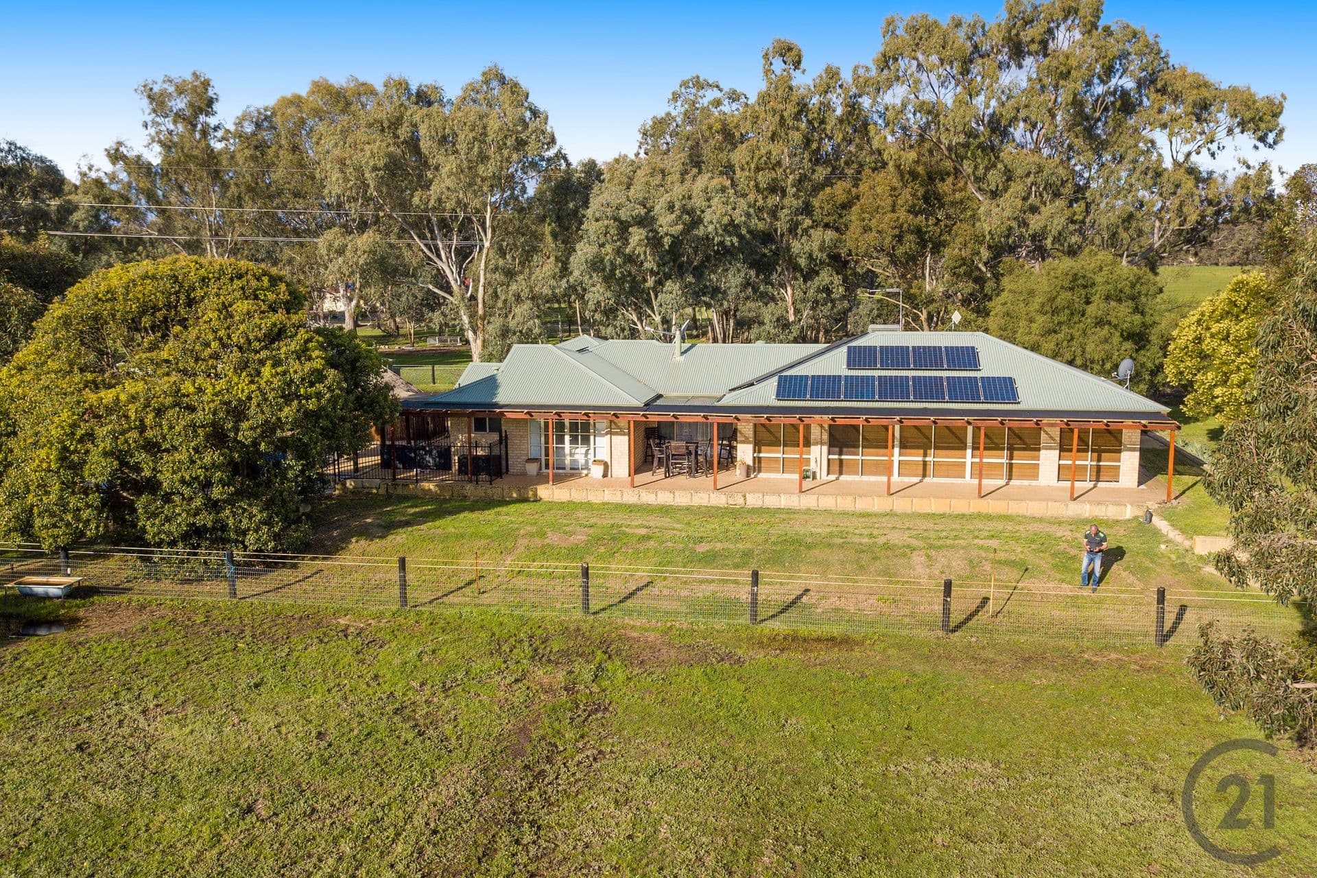 33 Cheyne Court, Pinjarra, WA, 6208, Pinjarra - Thumbnail 3