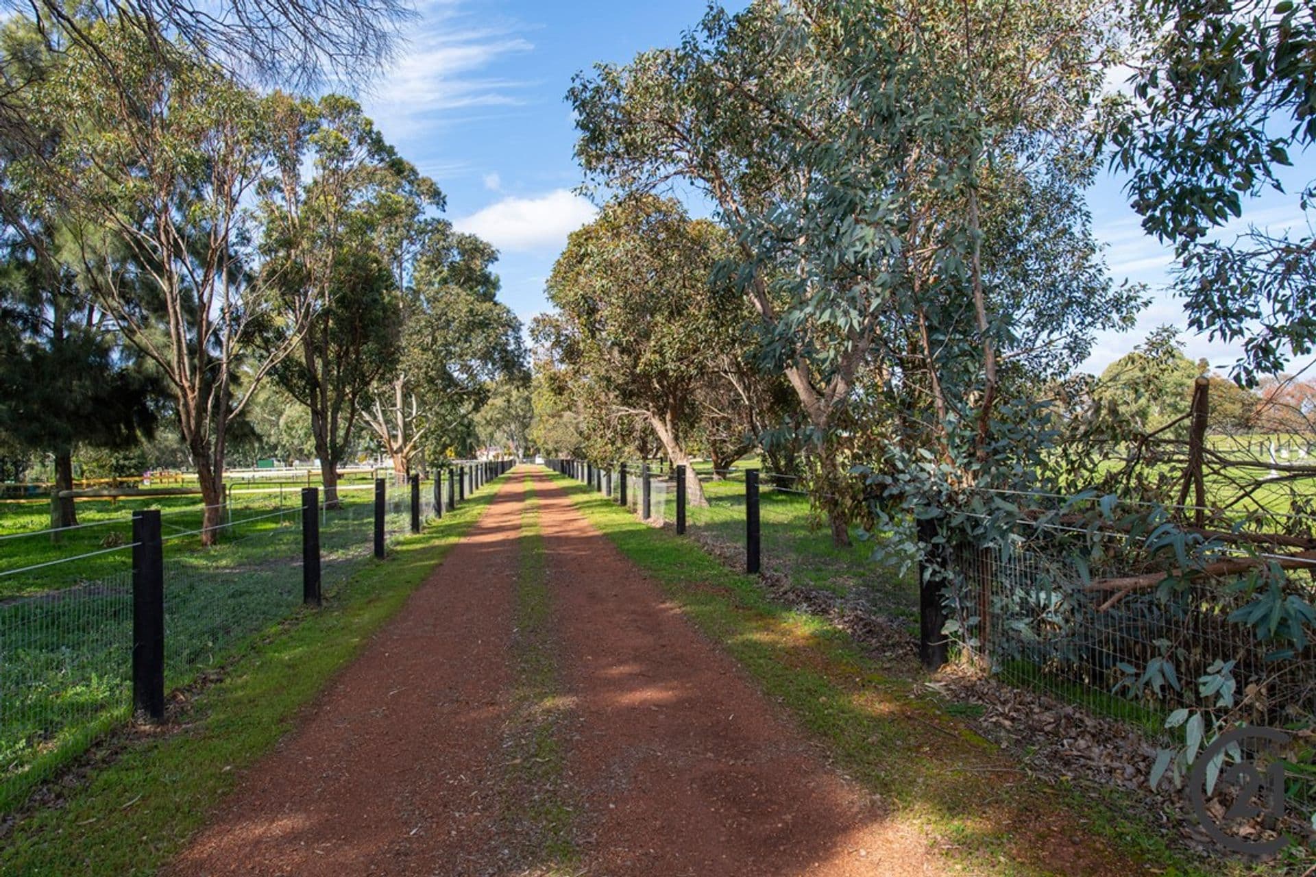 33 Cheyne Court, Pinjarra, WA, 6208, Pinjarra - Thumbnail 7