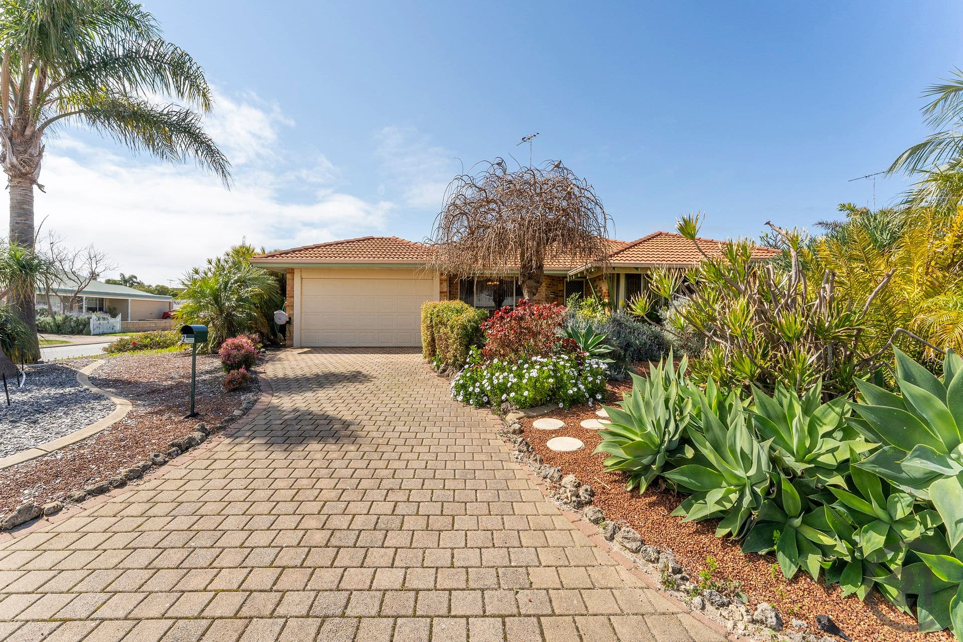 2 Castilloa Court, Halls Head, WA, 6210, Halls Head - Image 1