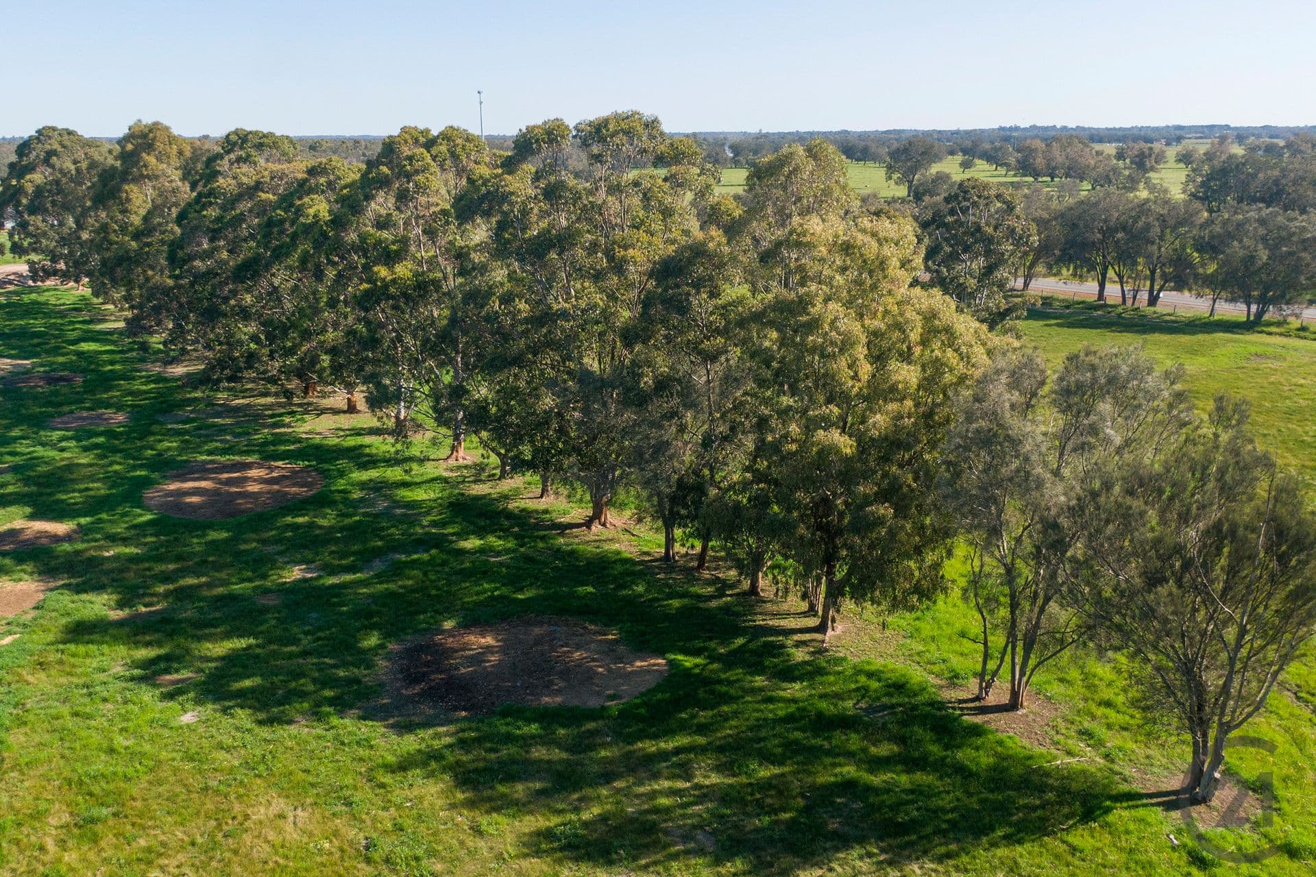 101/331 Kargotich Road, Oakford, WA, 6121, Oakford - Thumbnail 5