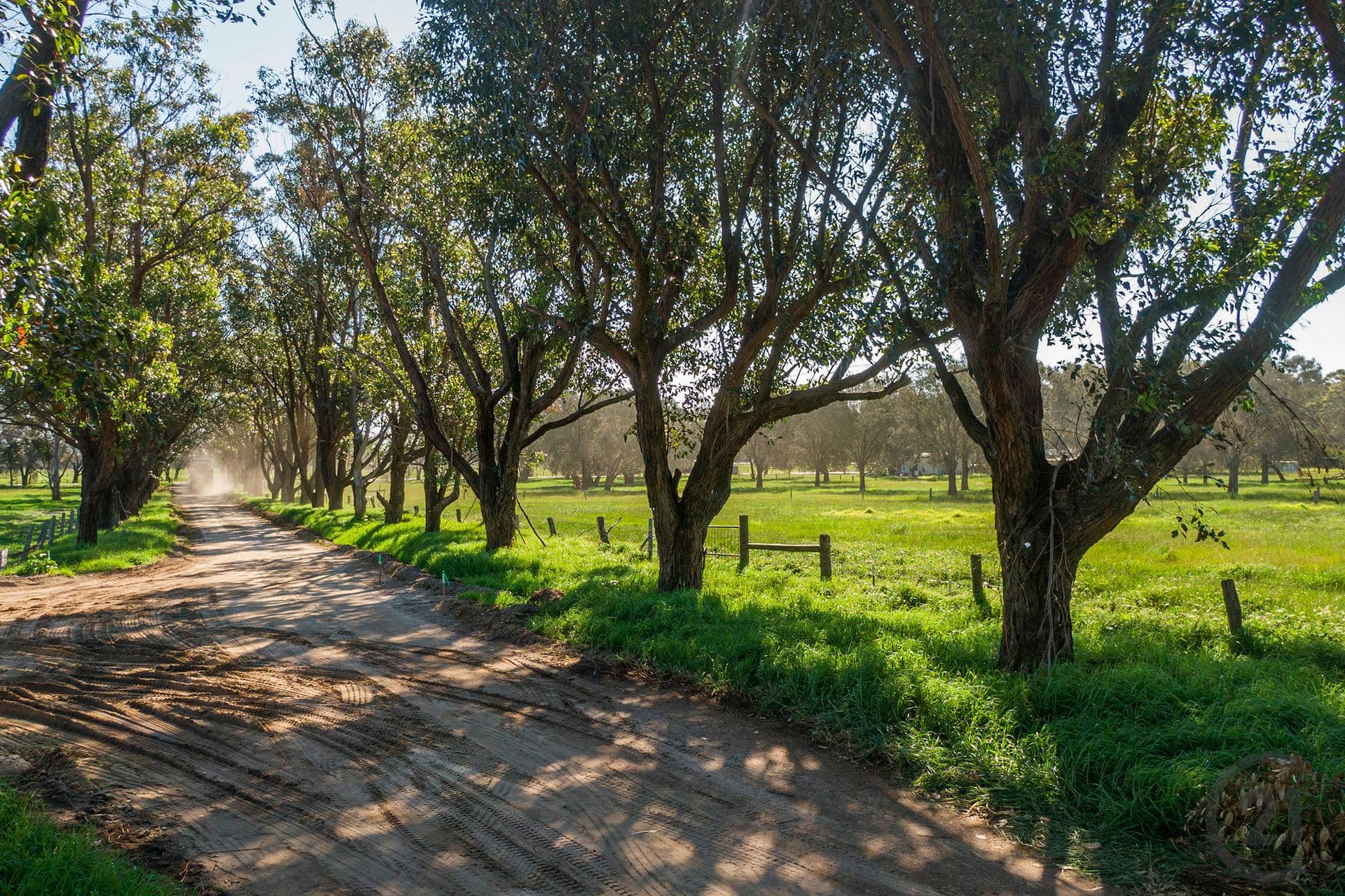 108/331 Kargotich Road, Oakford, WA, 6121, Oakford - Thumbnail 4