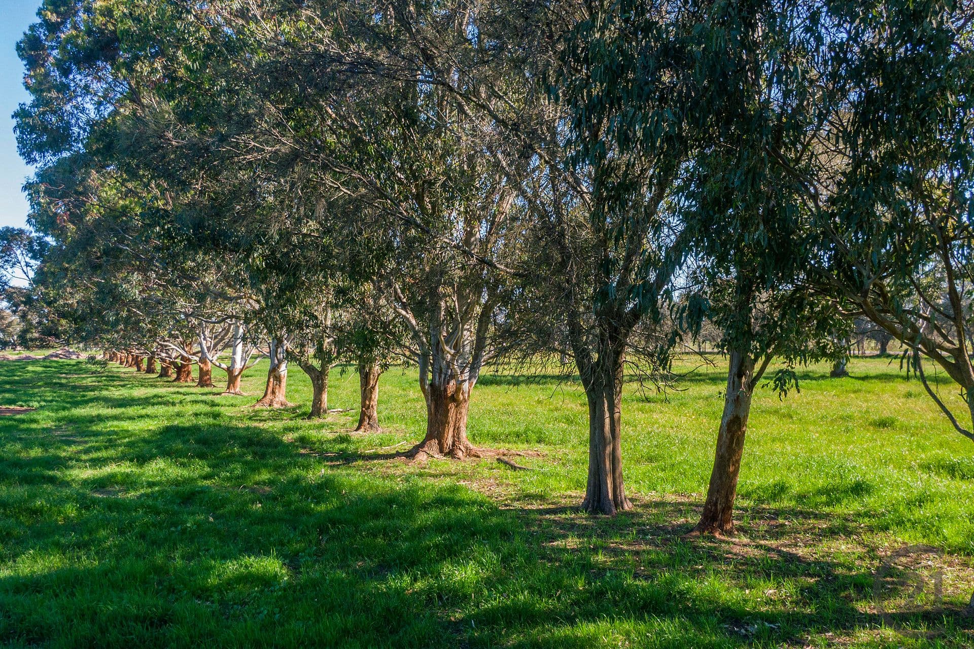 113/331 Kargotich Road, Oakford, WA, 6121, Oakford - Thumbnail 6