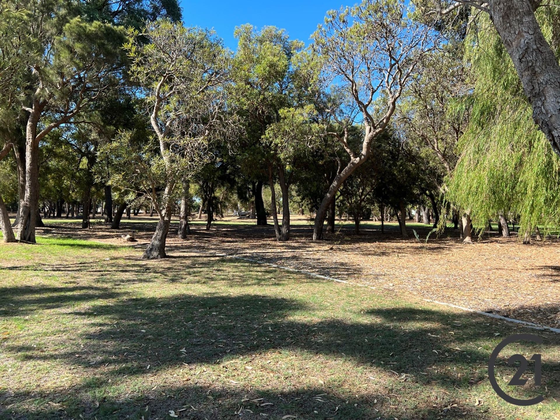 36 Duverney Crescent, Coodanup, WA, 6210, Coodanup - Thumbnail 4