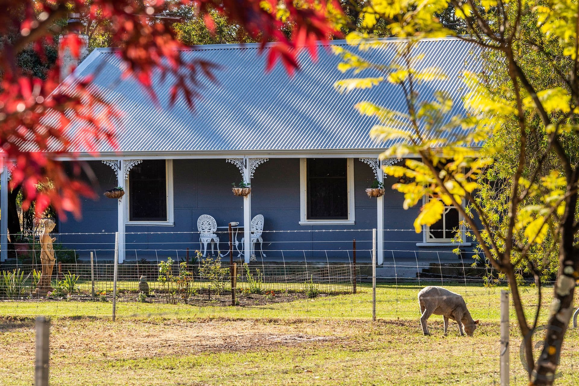 40 Daley Road, West Pinjarra, WA, 6208, West Pinjarra - Thumbnail 3