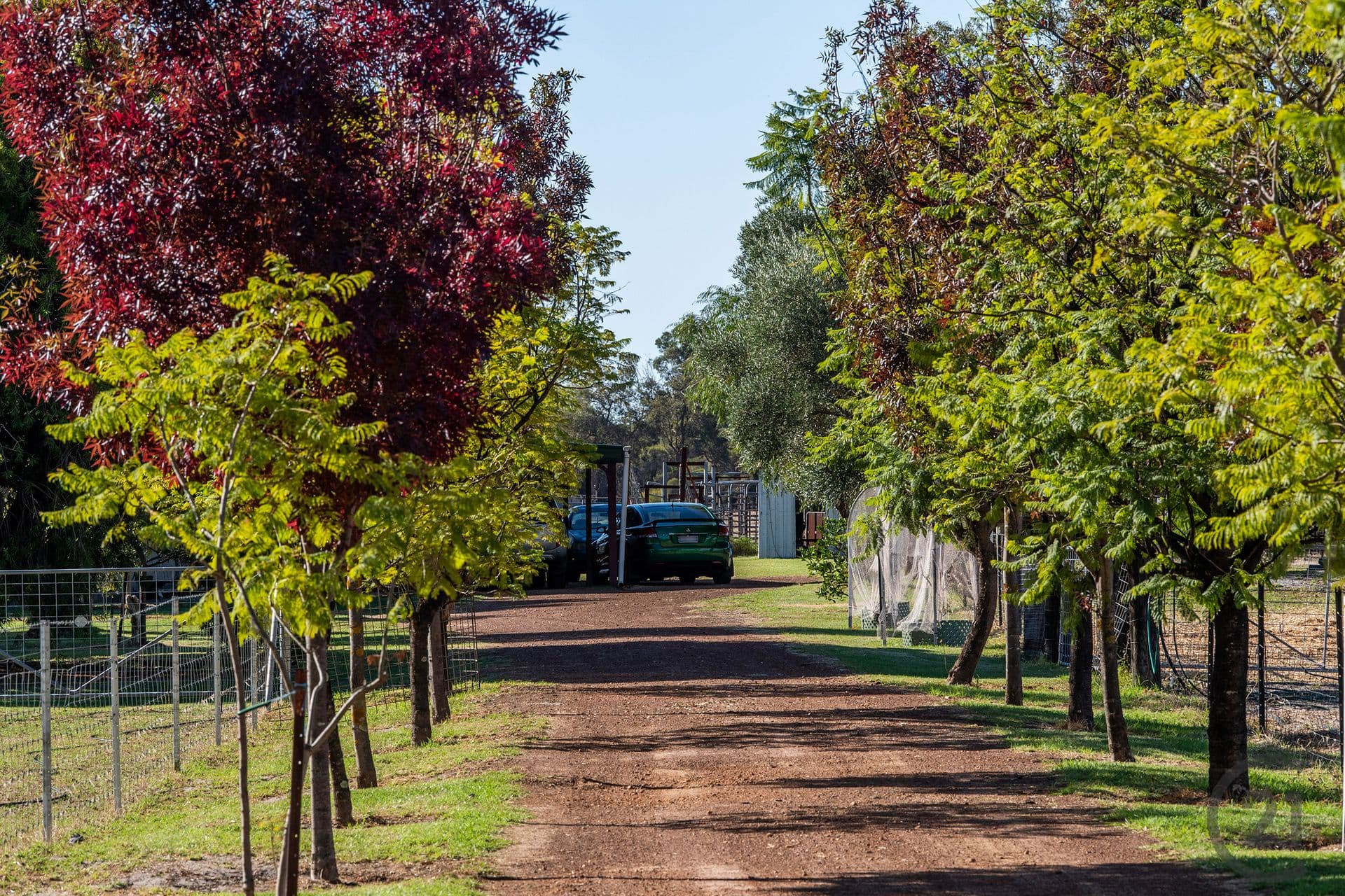 40 Daley Road, West Pinjarra, WA, 6208, West Pinjarra - Thumbnail 5