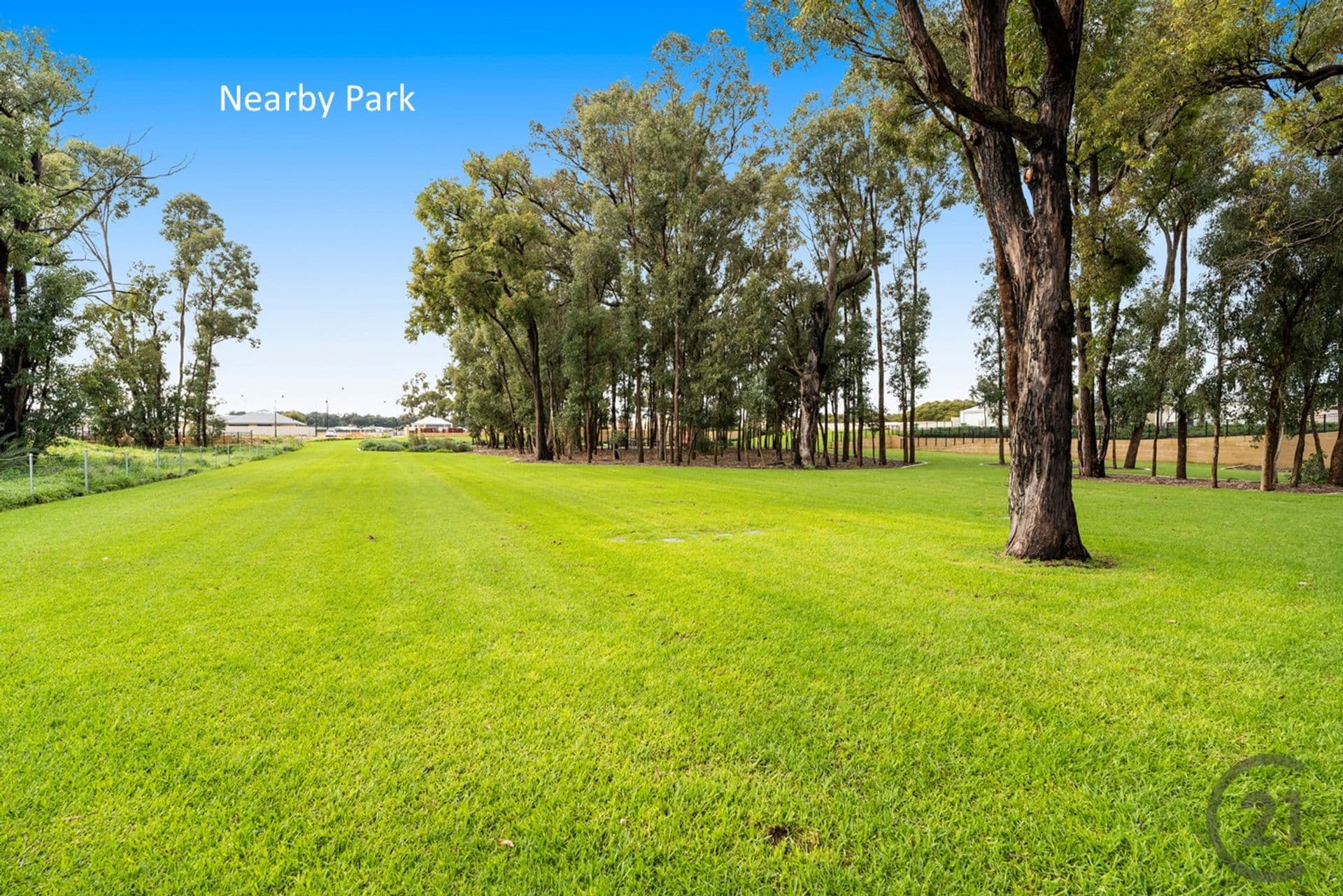 16 Tranquil Loop, Baldivis, WA, 6171, Baldivis - Thumbnail 8