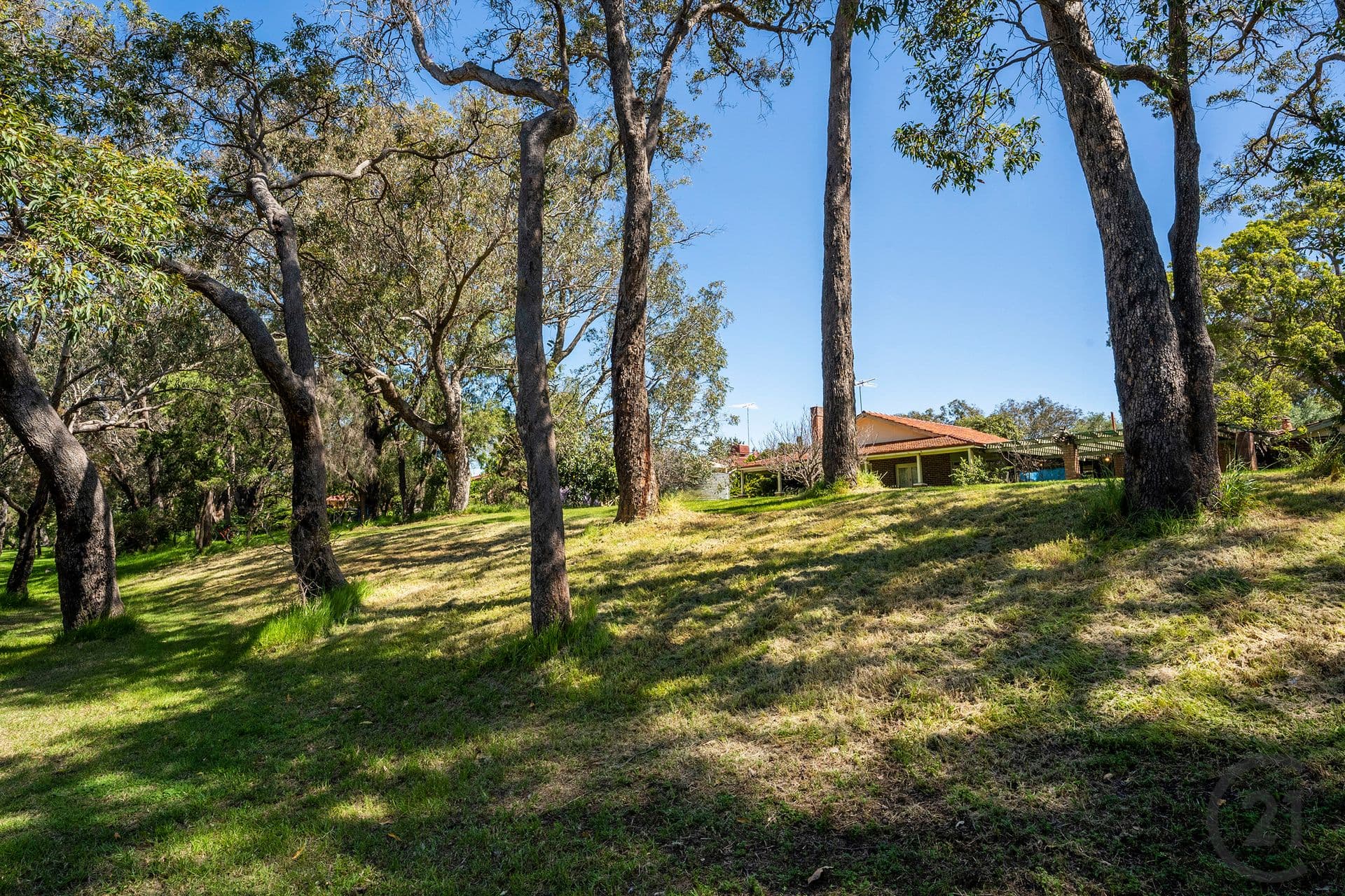 101 Rodoreda Crescent, Ravenswood, WA, 6208, Ravenswood - Thumbnail 8
