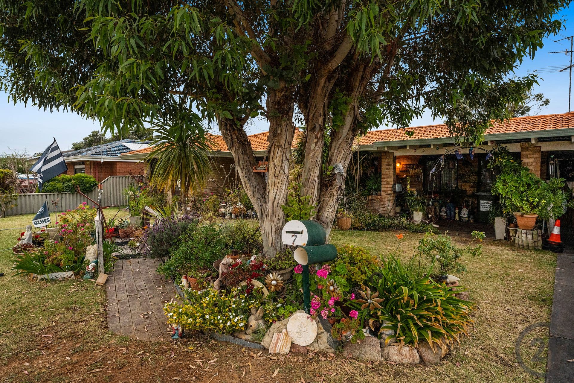 7 David Place, Dudley Park, WA, 6210, Dudley Park - Thumbnail 3