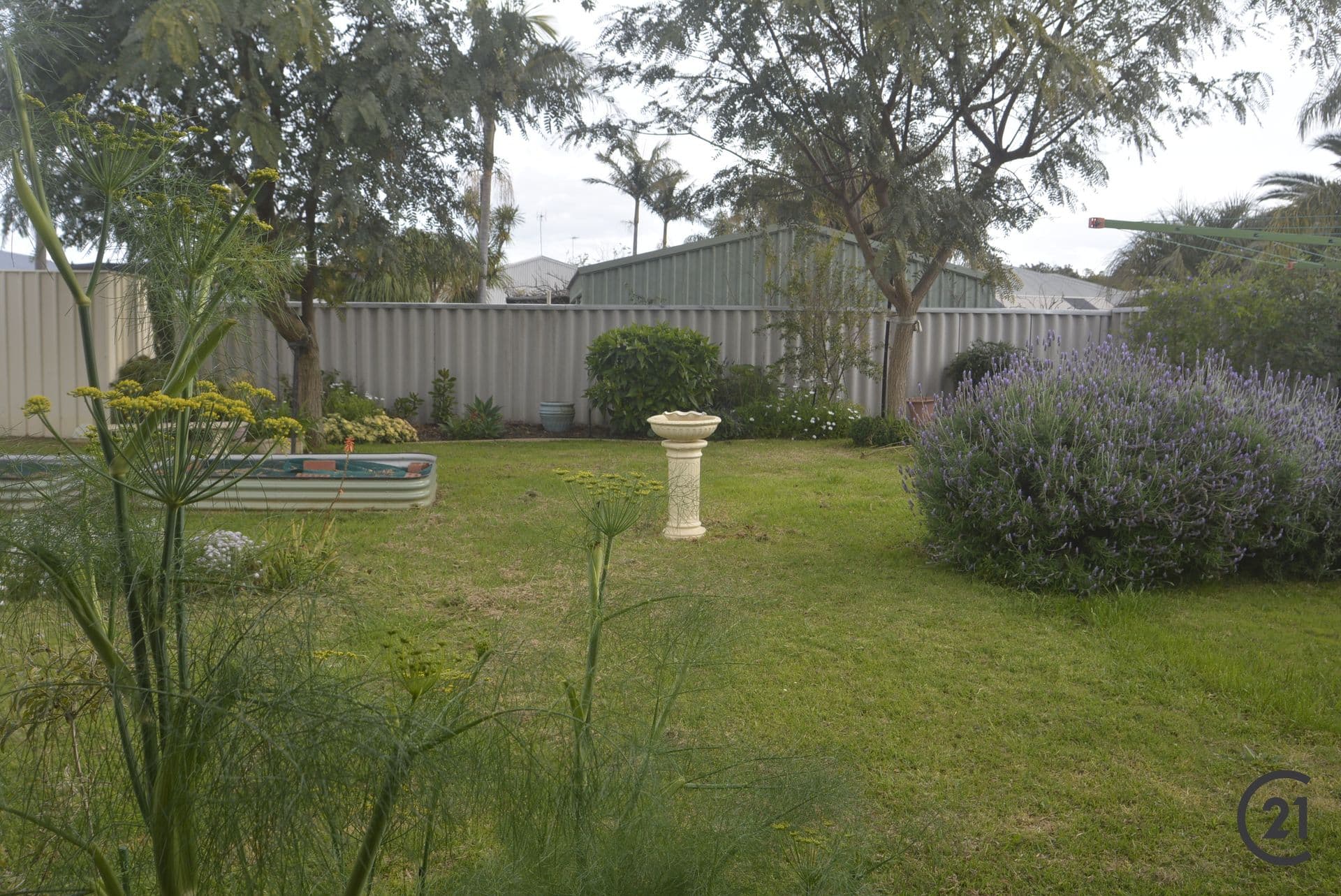 8 Tacoma Loop, Dudley Park, WA, 6210, Dudley Park - Thumbnail 7