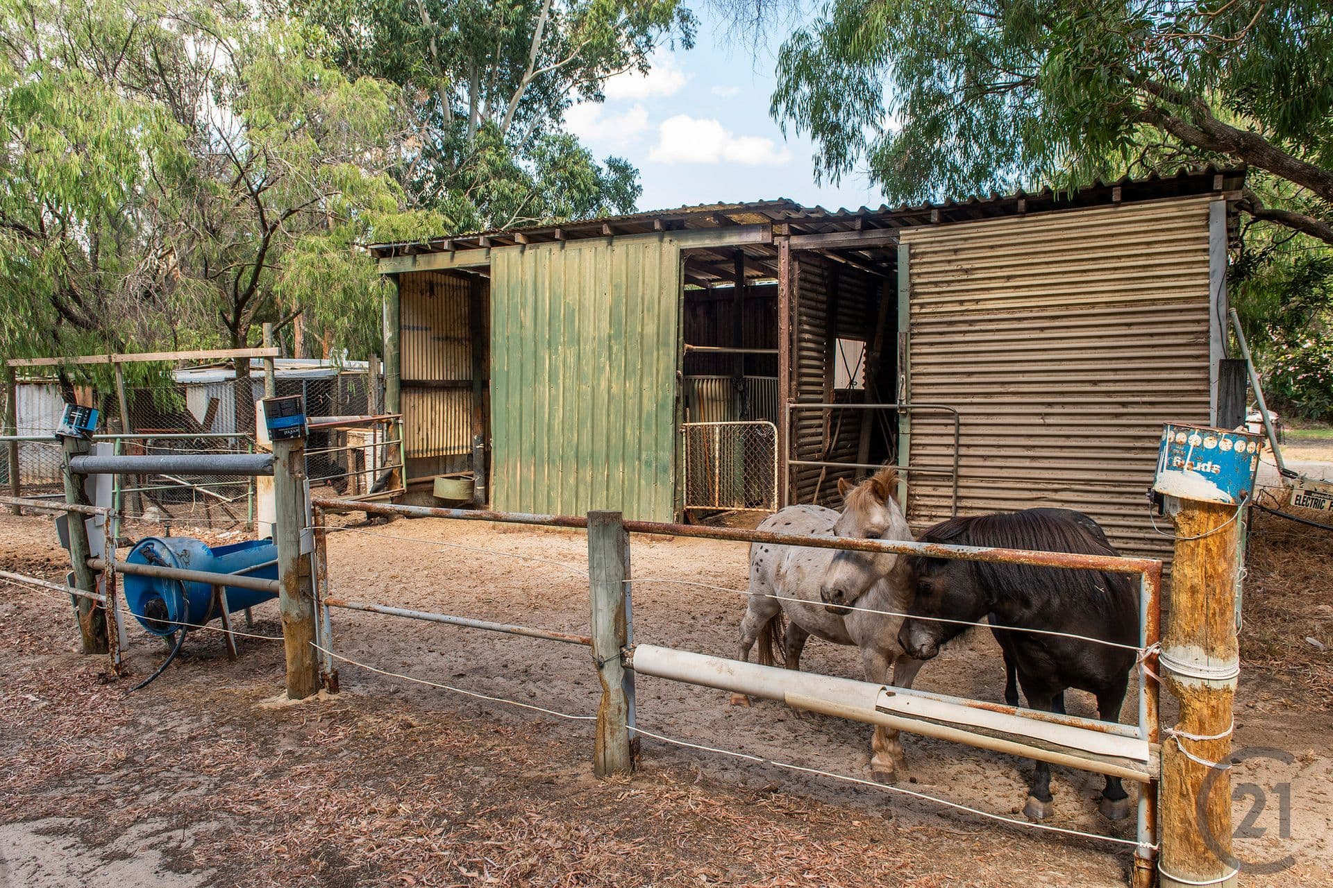97 Murray River Drive, South Yunderup, WA, 6208, South Yunderup - Thumbnail 4