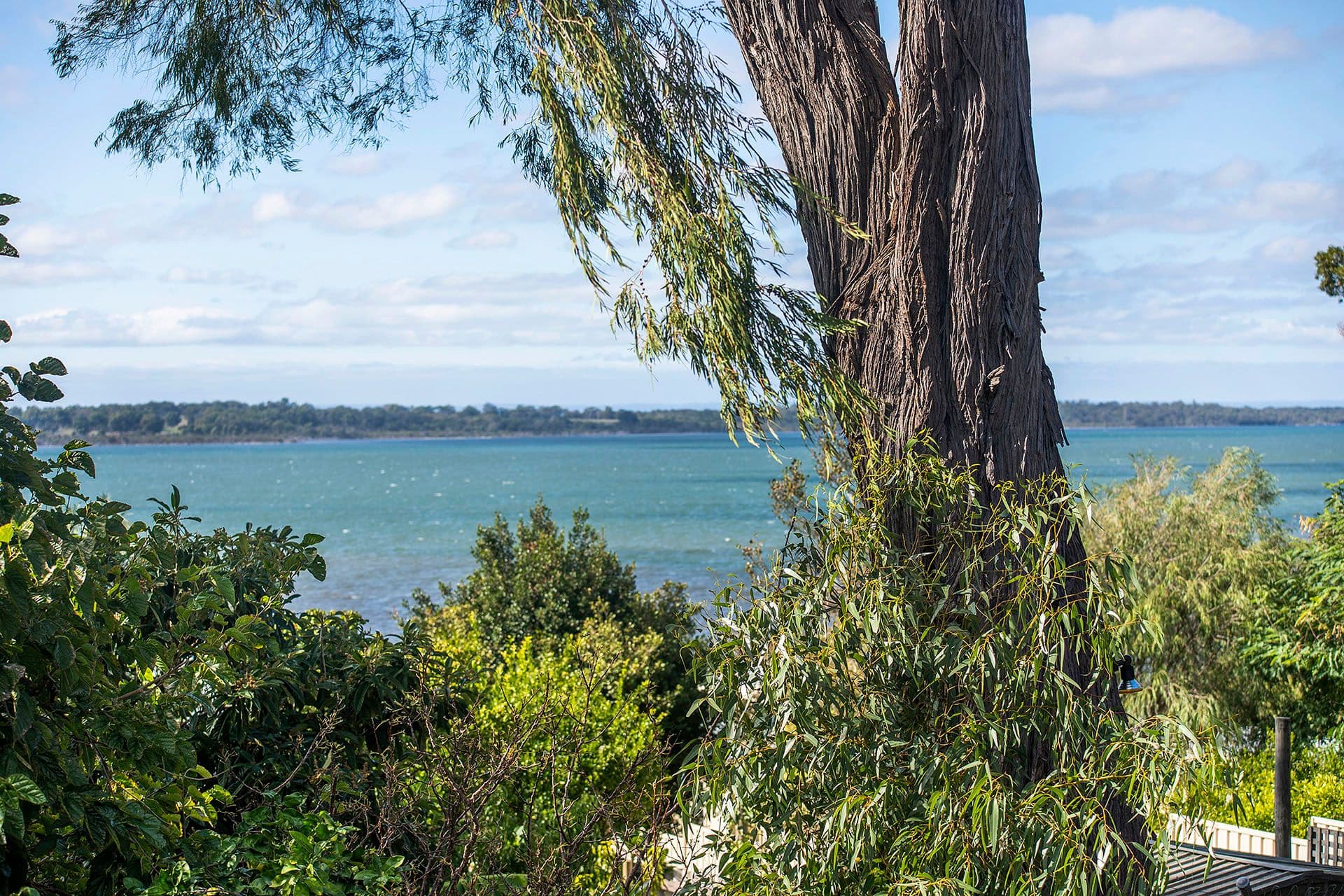 80 Estuary View Road, Dawesville, WA, 6211, Dawesville - Thumbnail 4