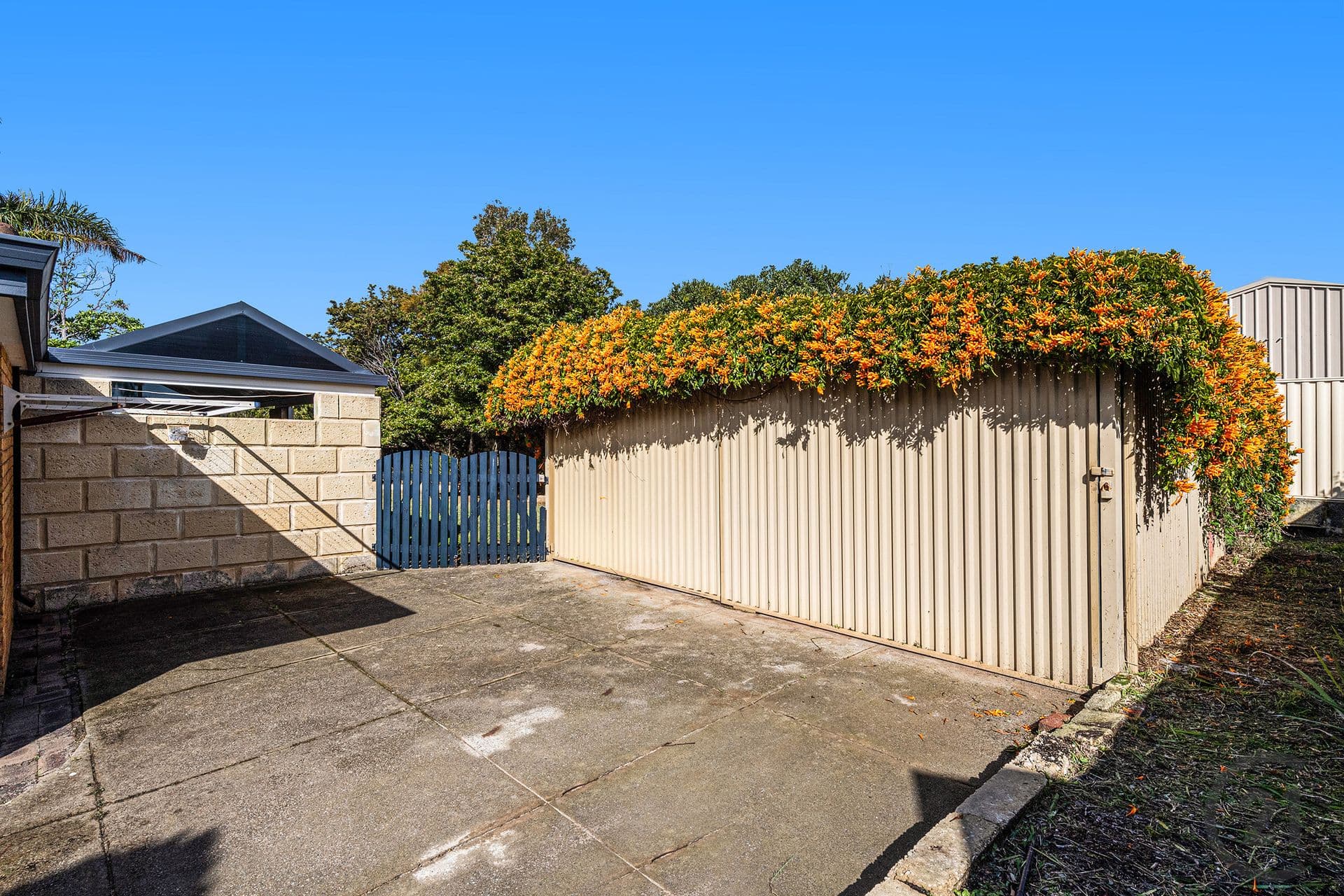 11 Boronia Close, Halls Head, WA, 6210, Halls Head - Thumbnail 4