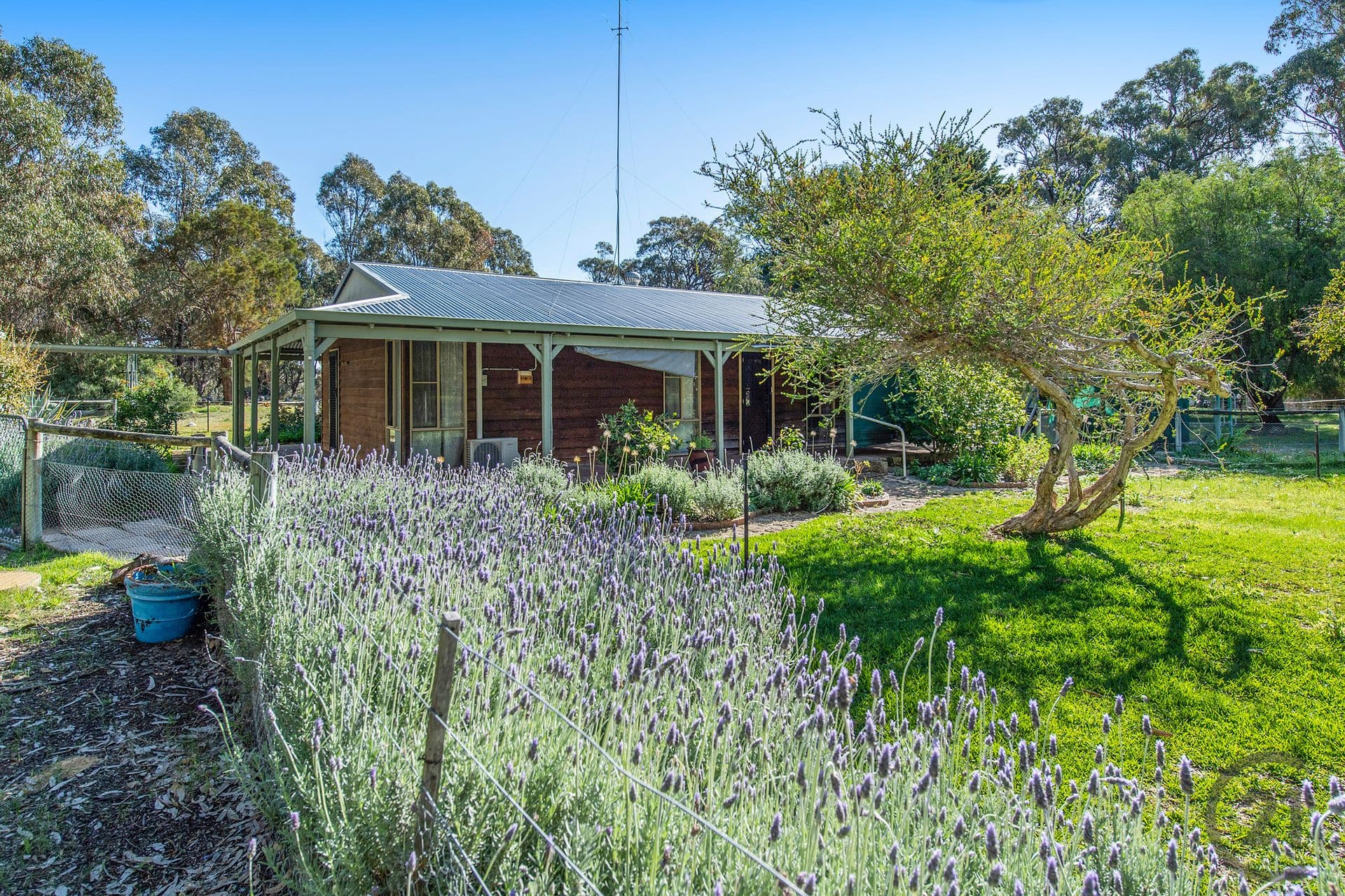 12 Gaston Crescent, Lake Clifton, WA, 6215, Lake Clifton - Thumbnail 5