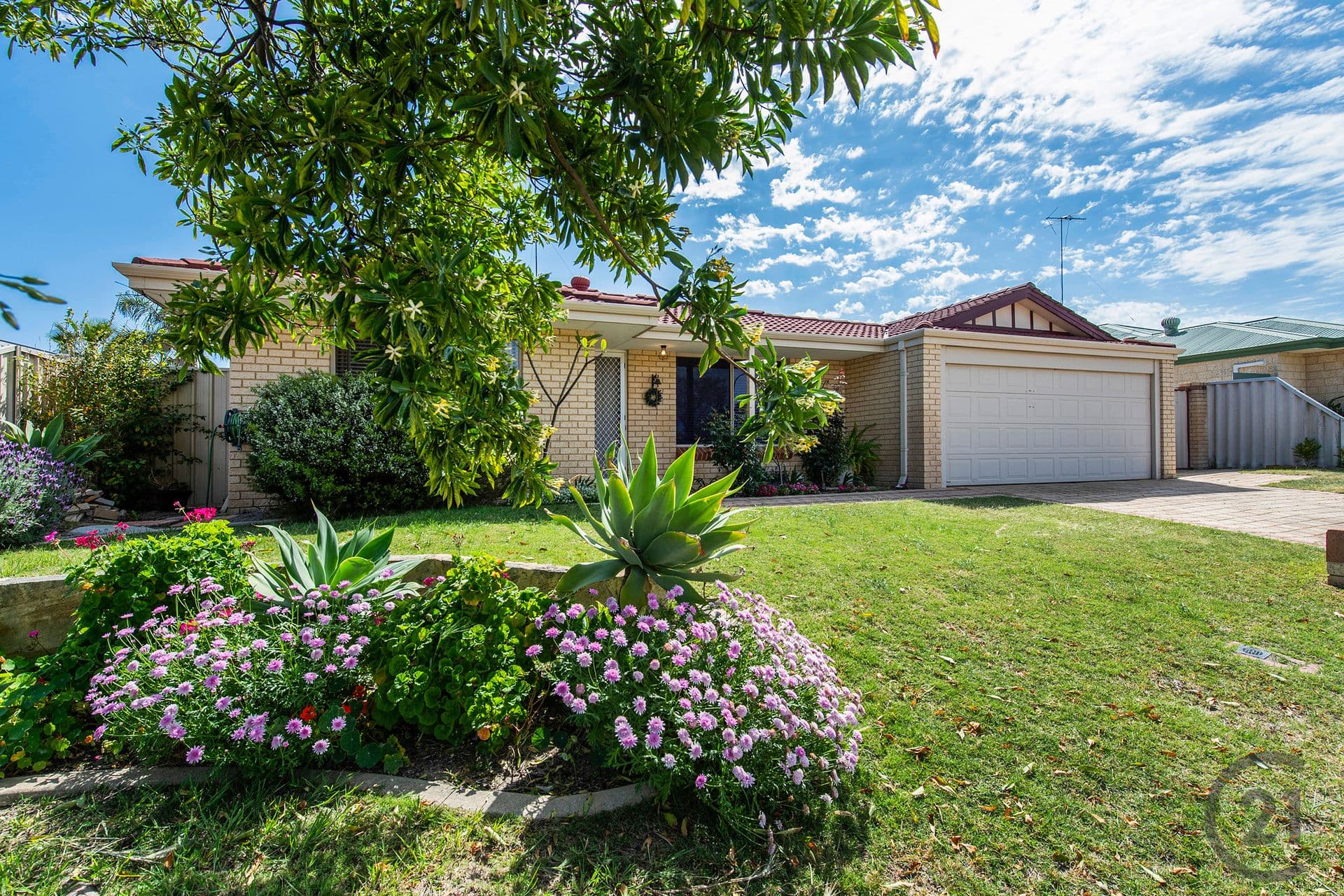67 Floribunda Avenue, Halls Head, WA, 6210, Halls Head - Thumbnail 3