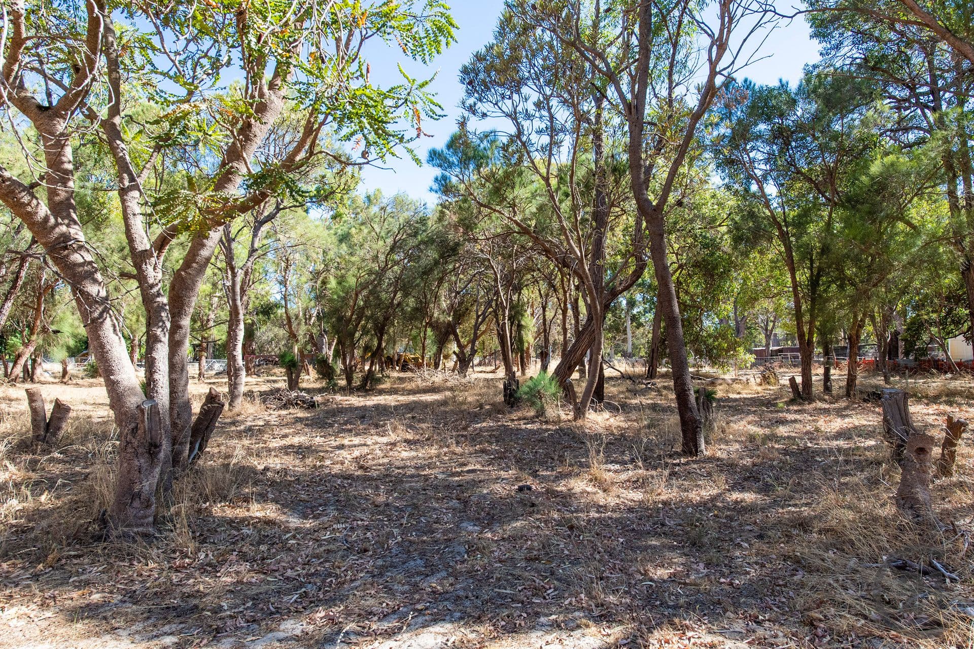 71 Red Road, Parklands, WA, 6180, Parklands - Thumbnail 3