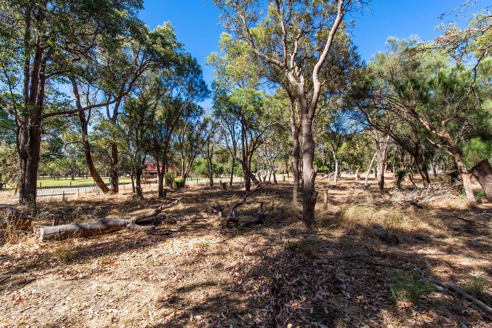 71 Red Road, Parklands, WA, 6180, Parklands - Thumbnail 7