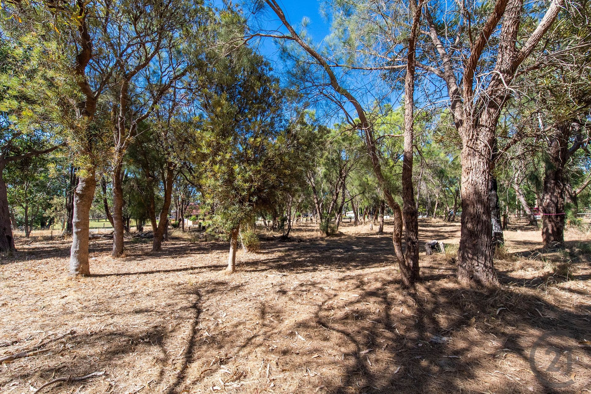 71 Red Road, Parklands, WA, 6180, Parklands - Thumbnail 8
