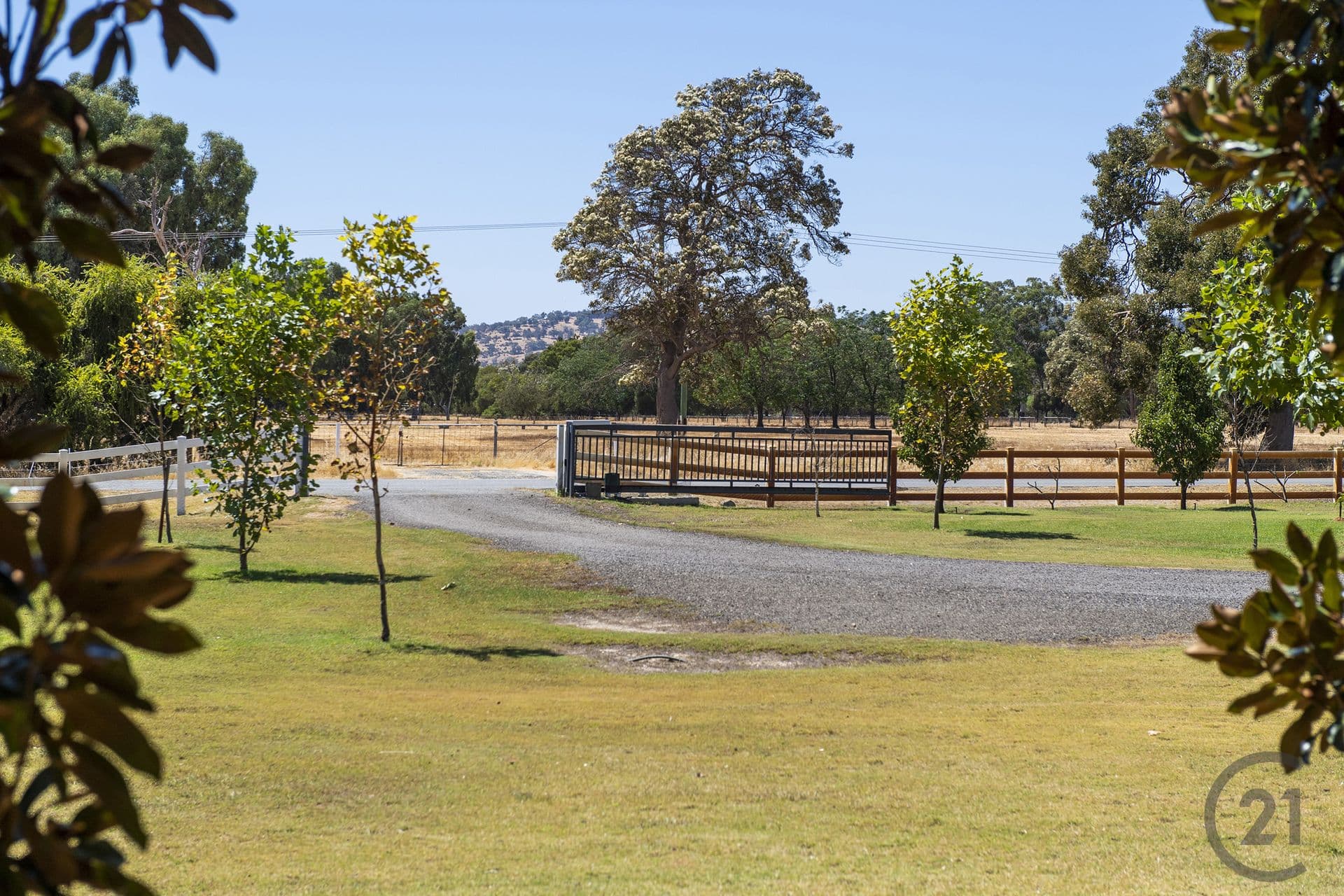 63 Mcmahon Road, North Dandalup, WA, 6207, North Dandalup - Thumbnail 4