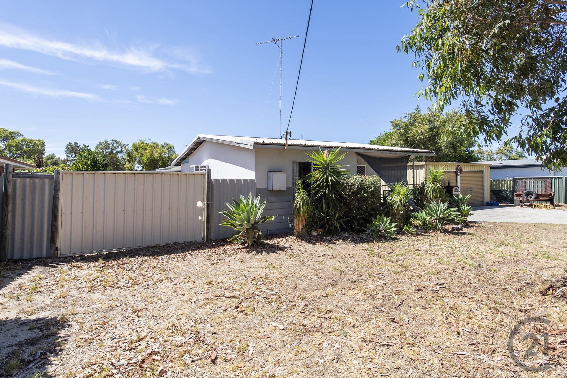 36 Thera Street, Falcon, WA, 6210, Falcon - Thumbnail 6