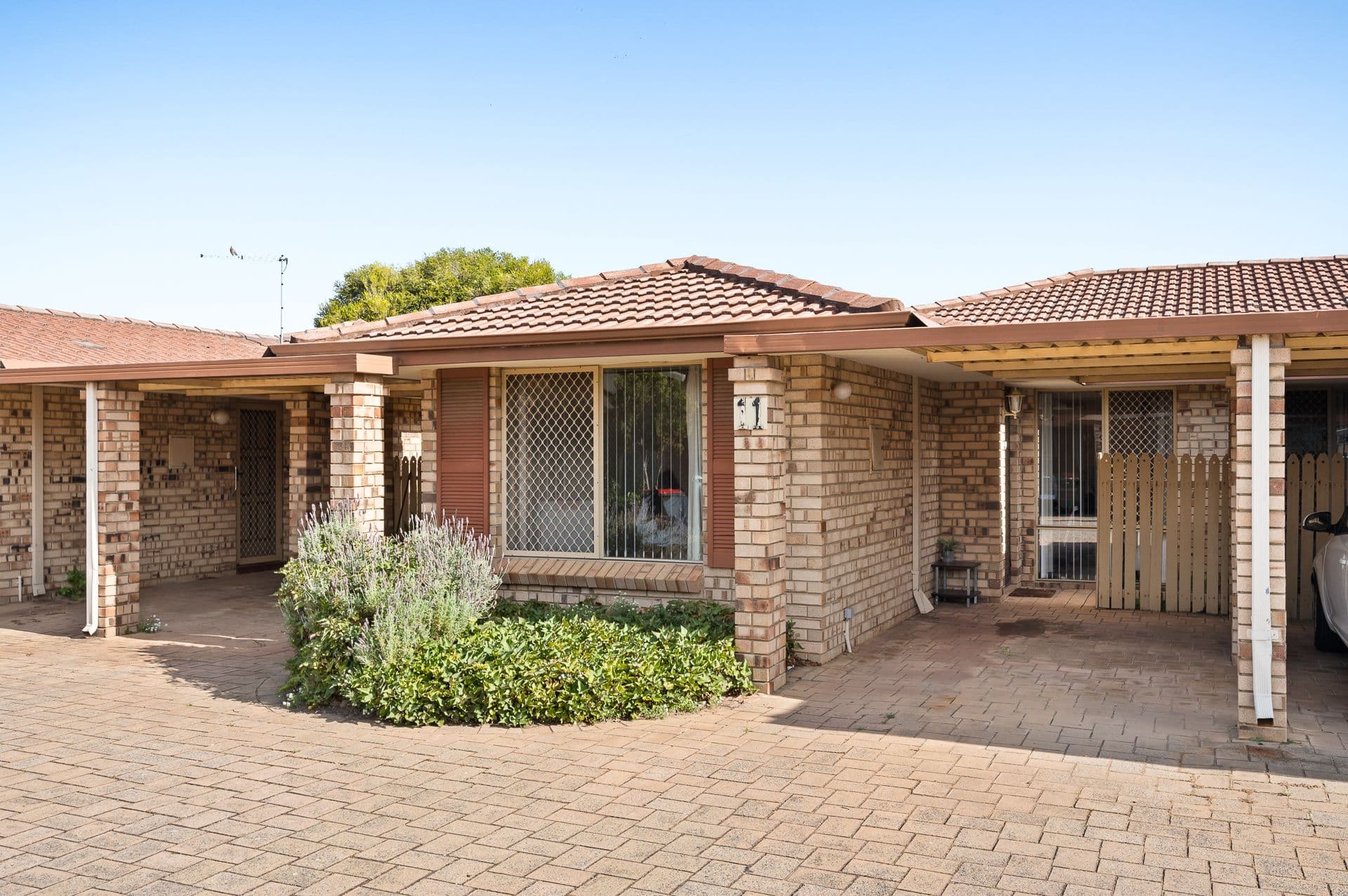 11/7 Sepia Court, Rockingham, WA, 6168, Rockingham - Thumbnail 2
